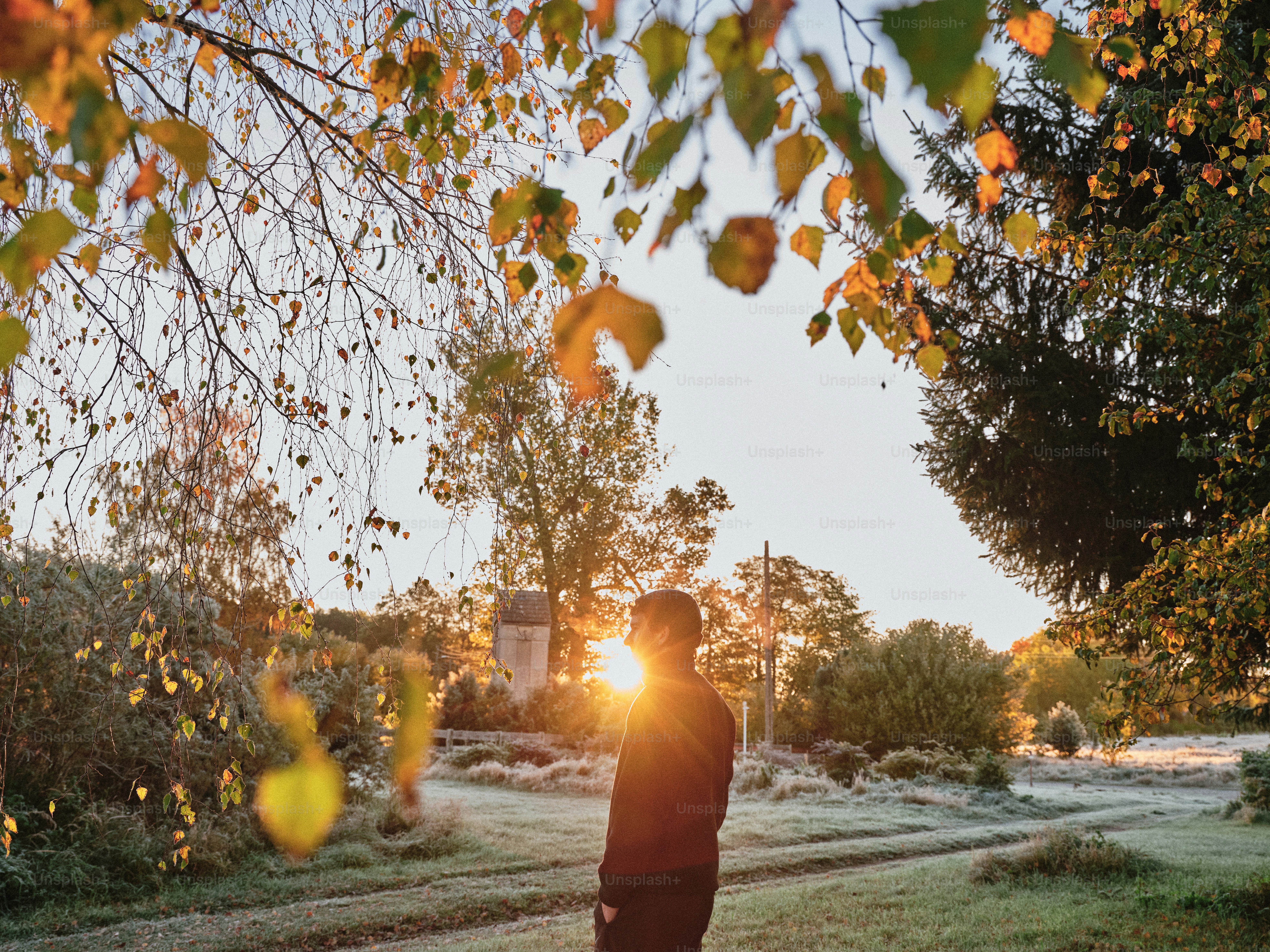 Man standing in a frosty field at sunrise