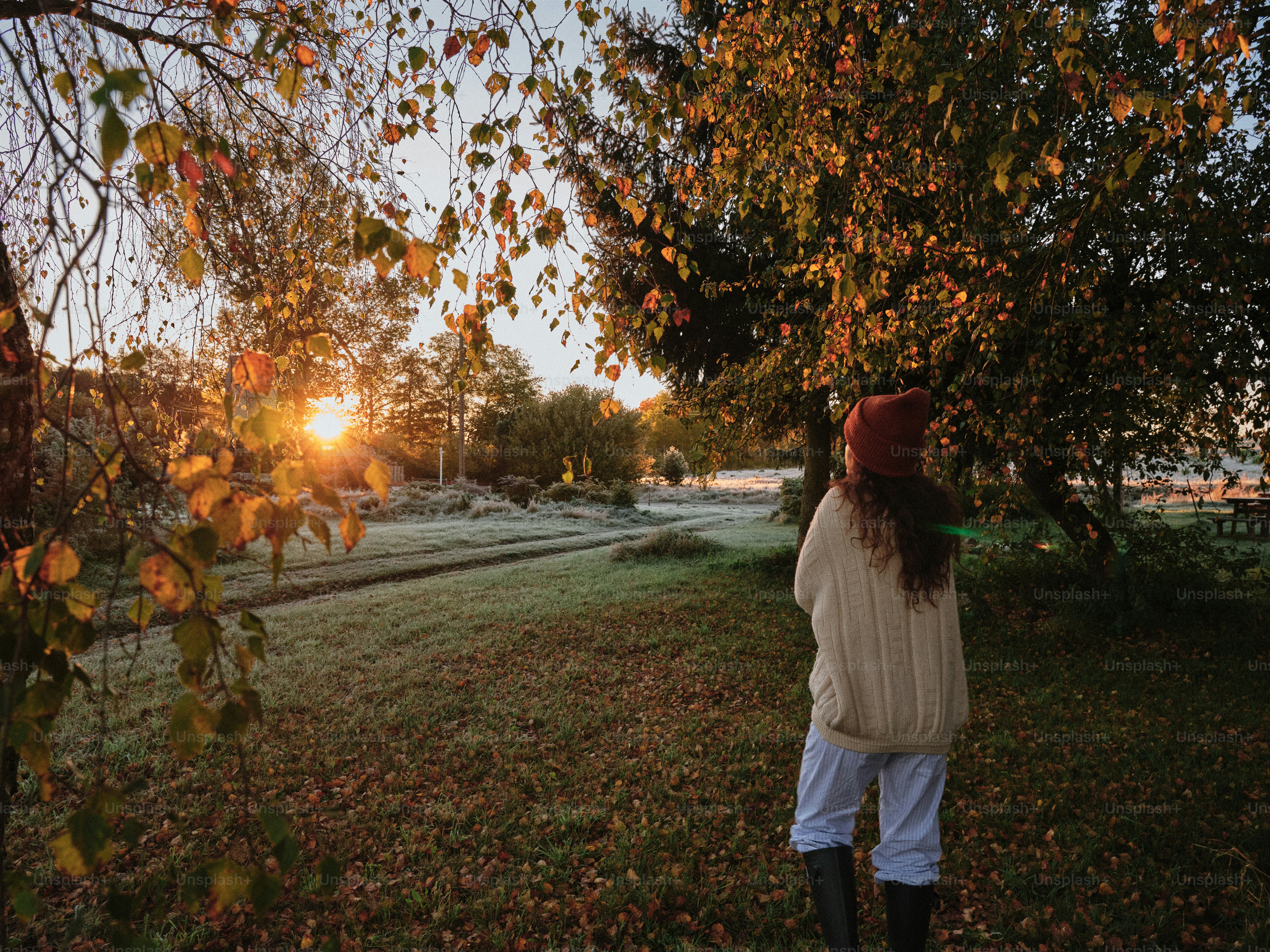 凍てつく秋の風景の中で日の出を眺める人。