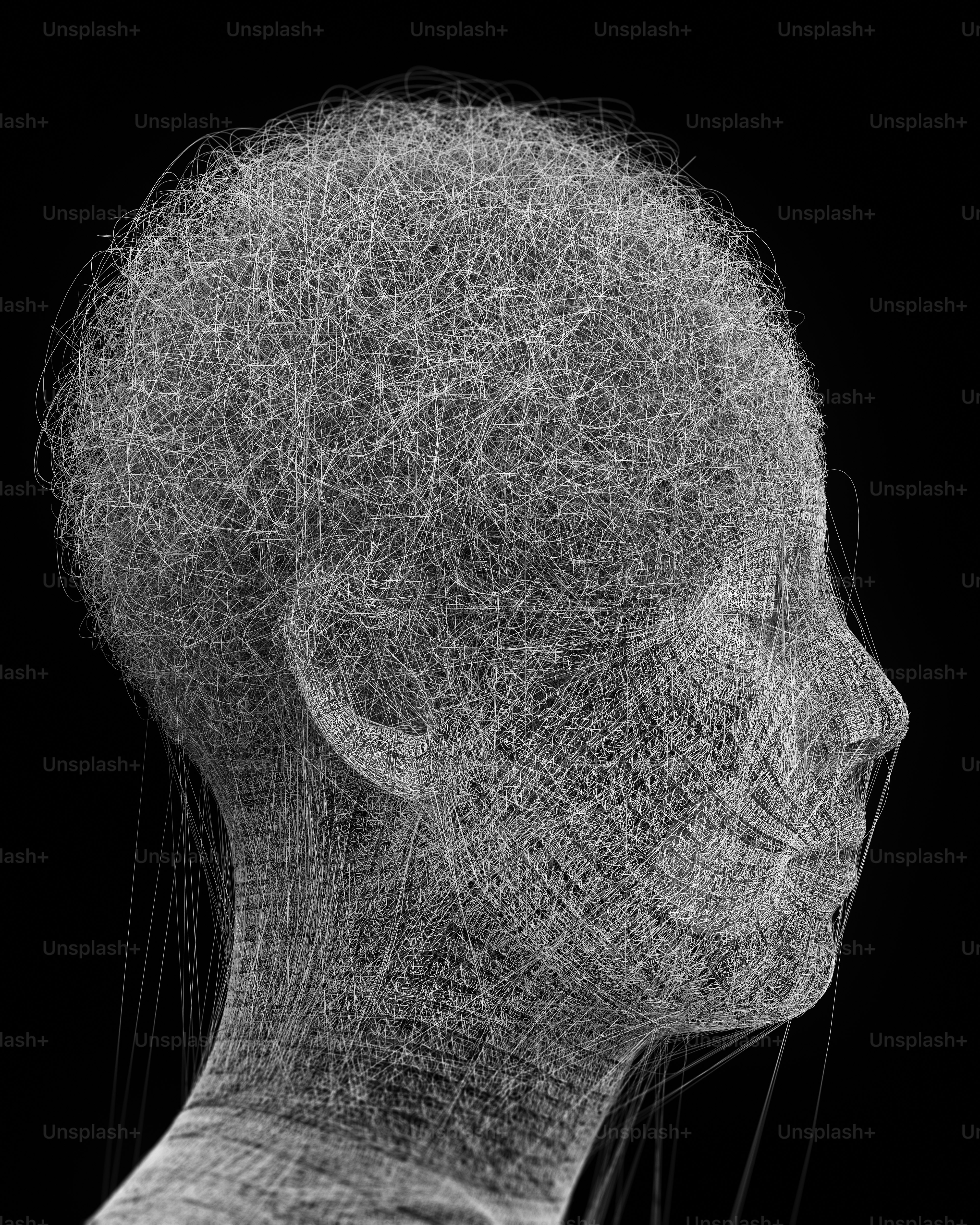 Abstract profile of a head made of white lines