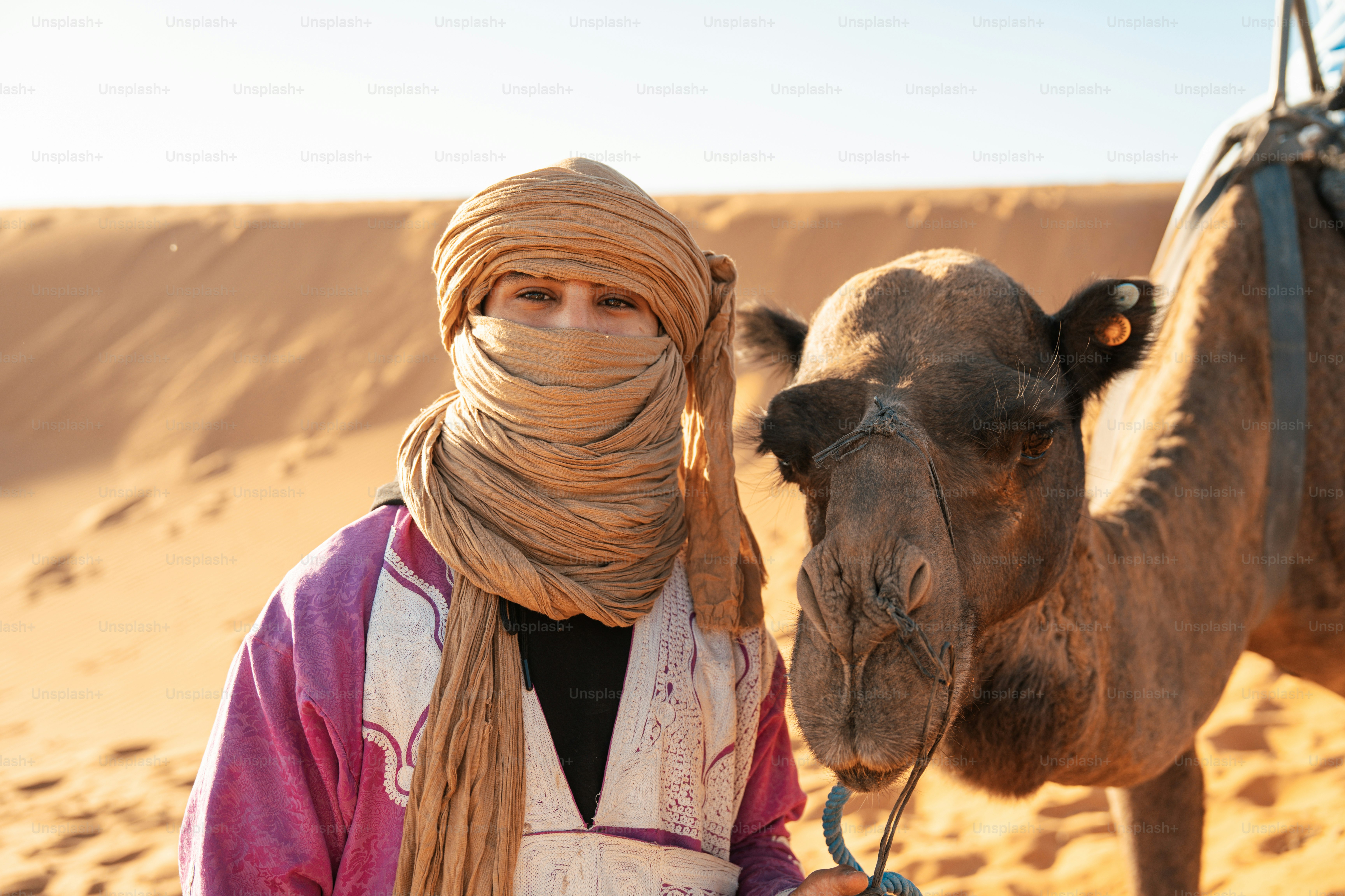 Méharée Dromadaires Sahara Maroc