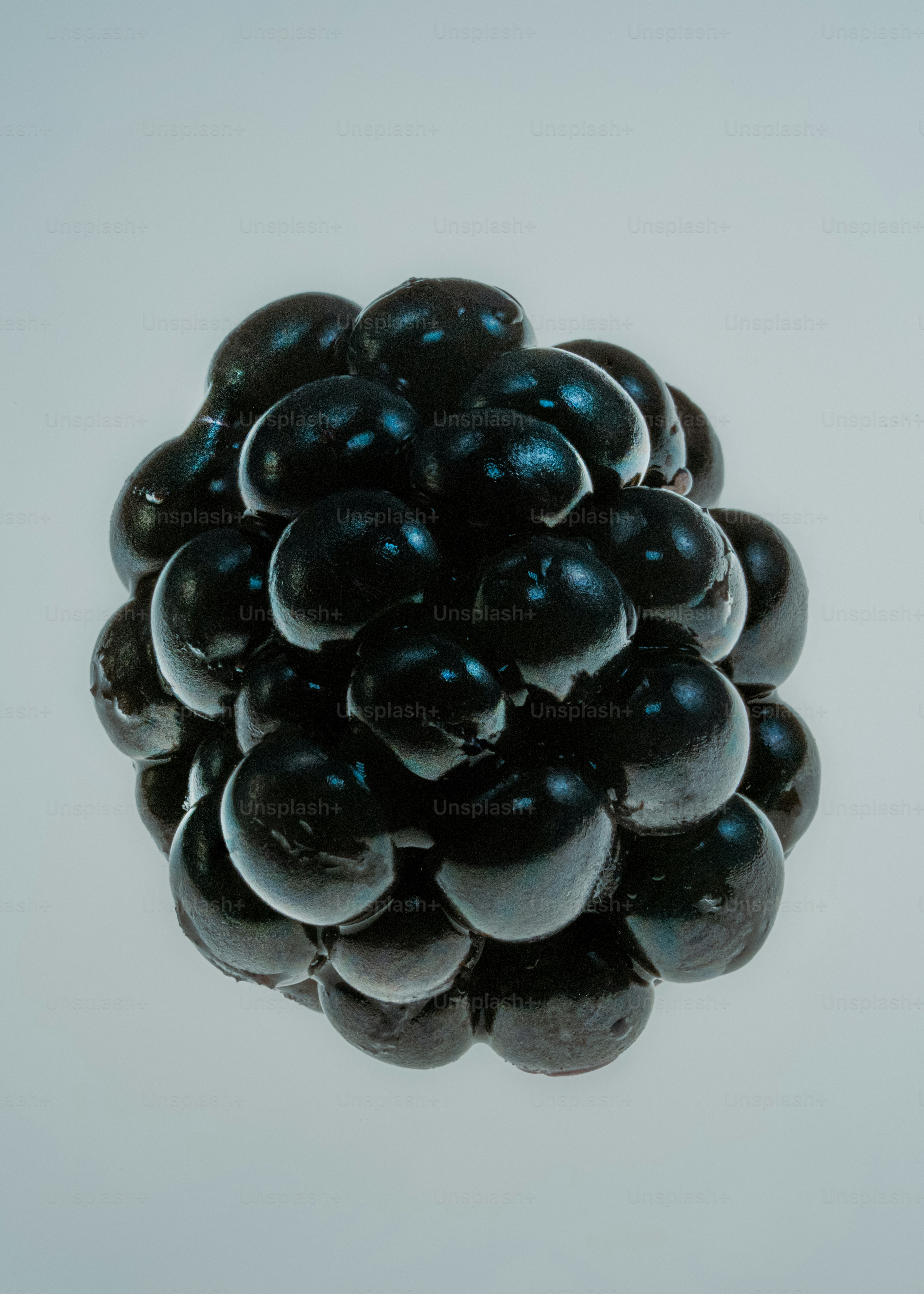 A single ripe blackberry on a white background