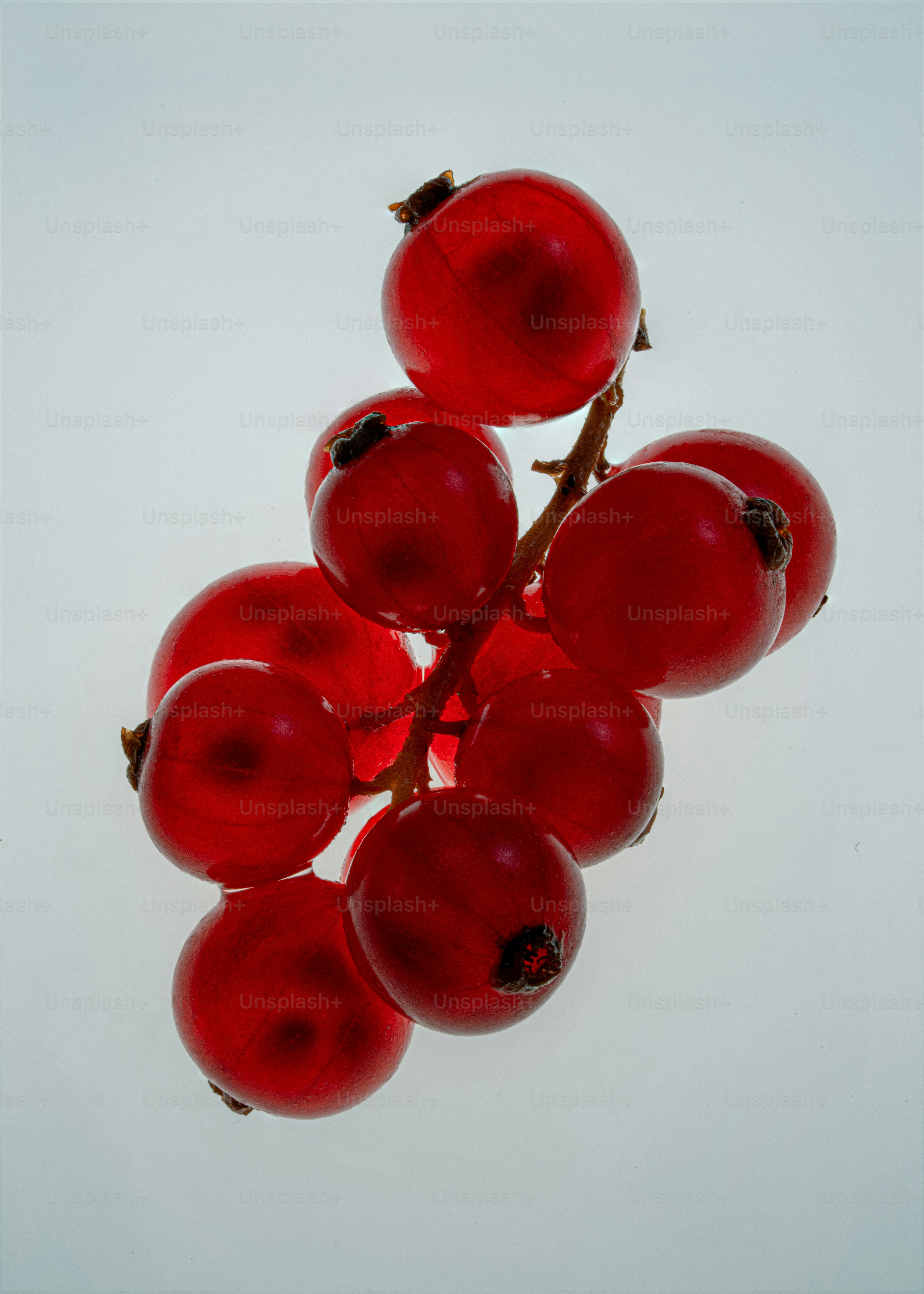 A cluster of ripe red currants on a stem