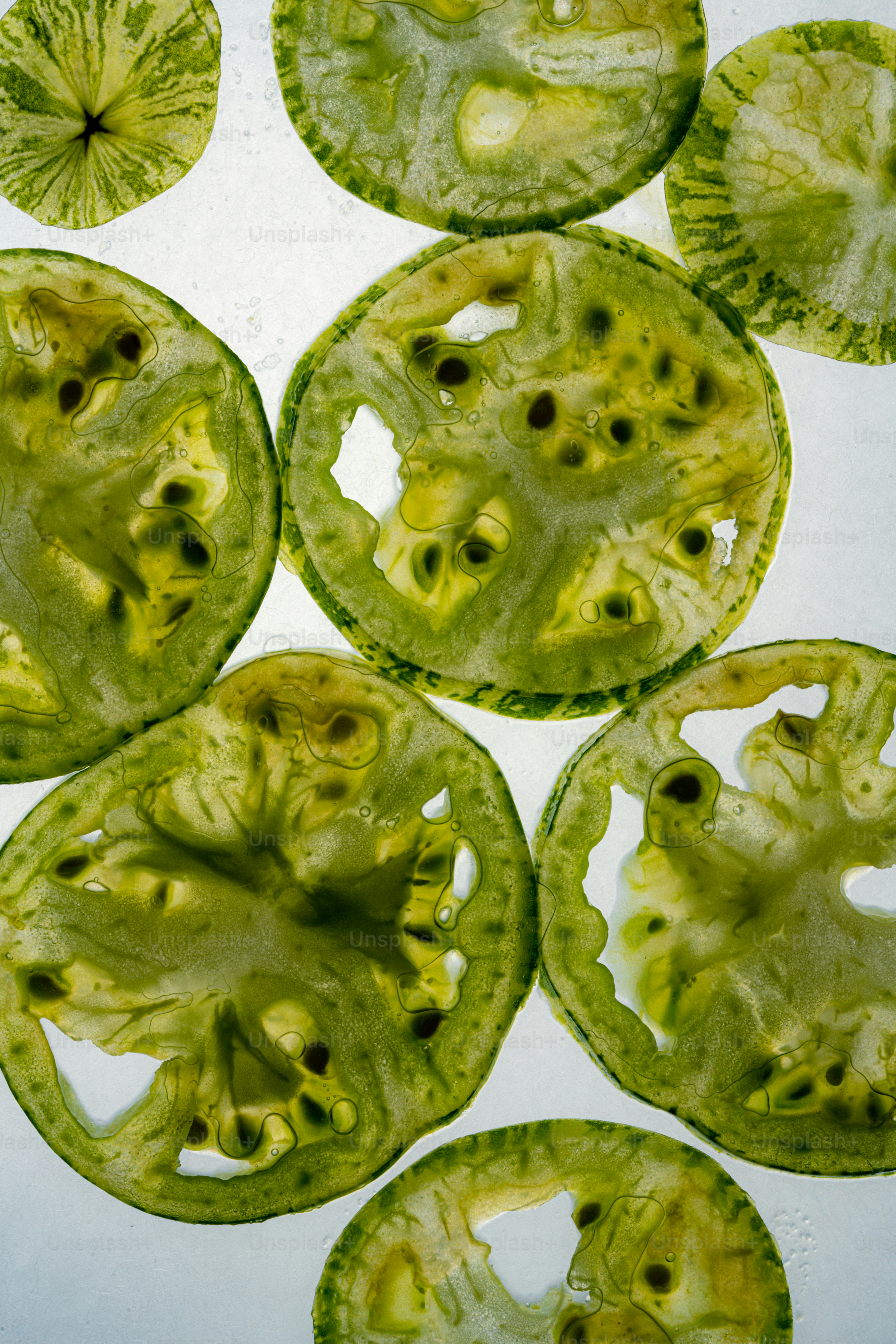 Several slices of green tomatoes on white background