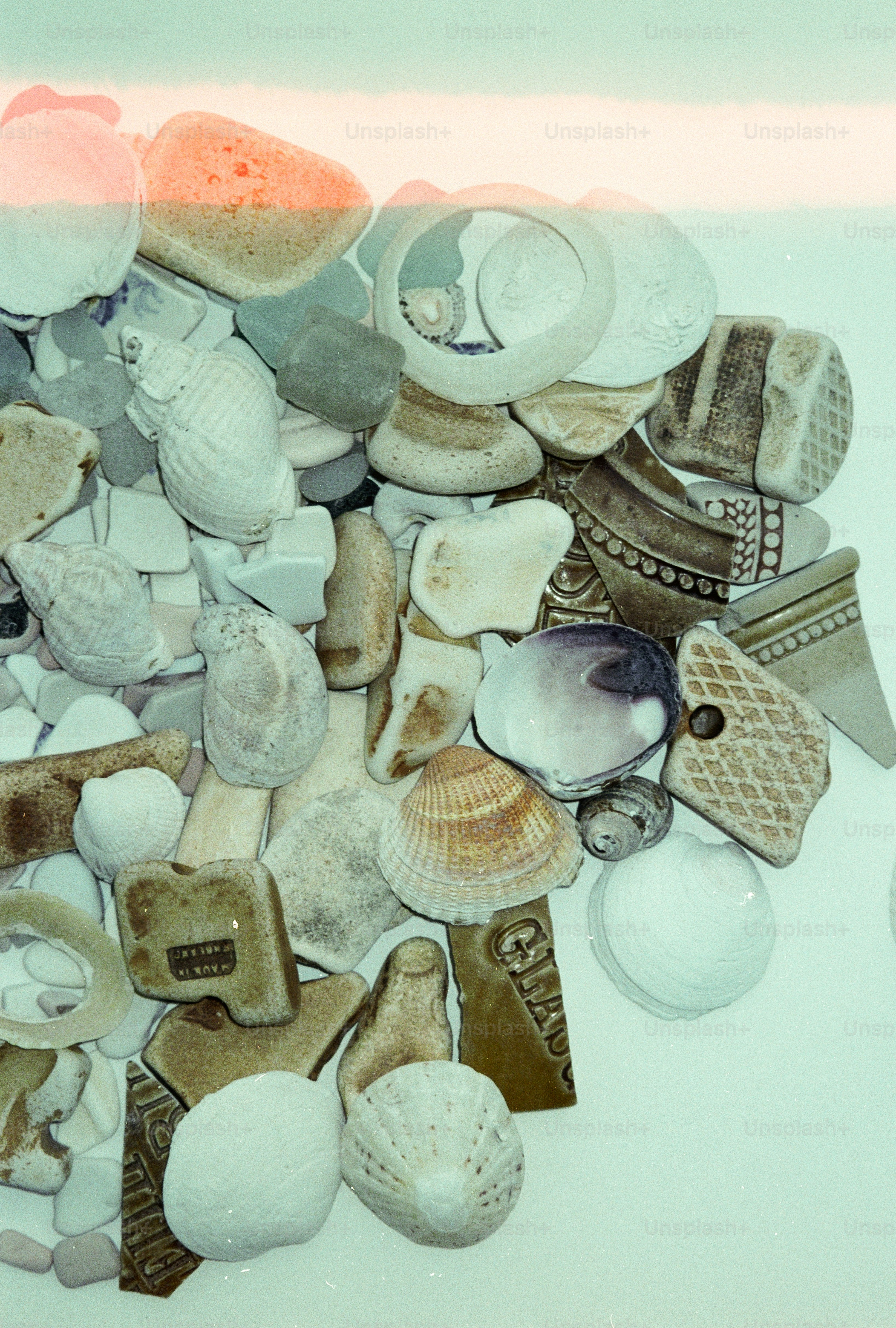 Collezione di conchiglie e cocci di ceramica su sfondo bianco