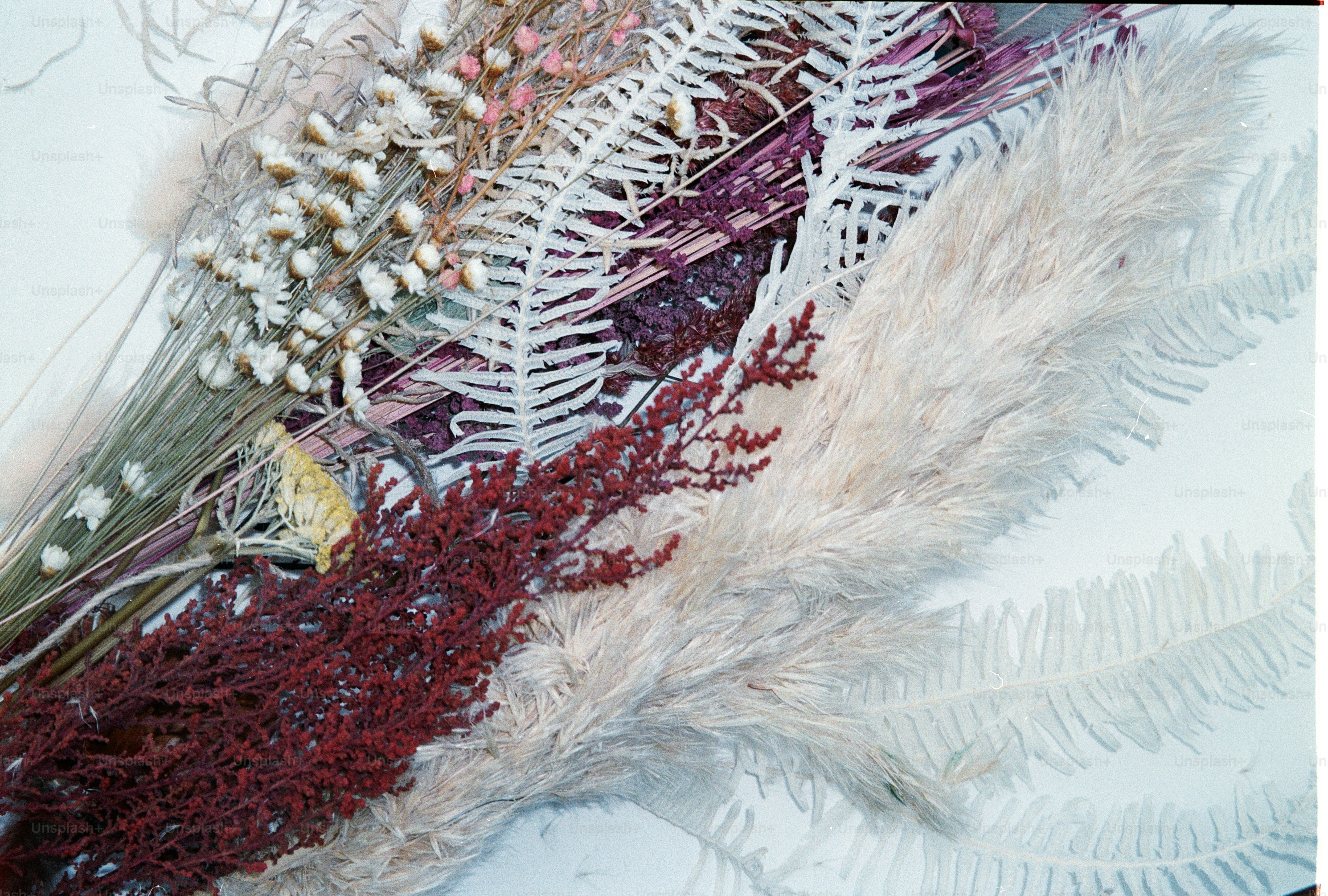 Close-up of a dried floral arrangement with various textures. photo ...