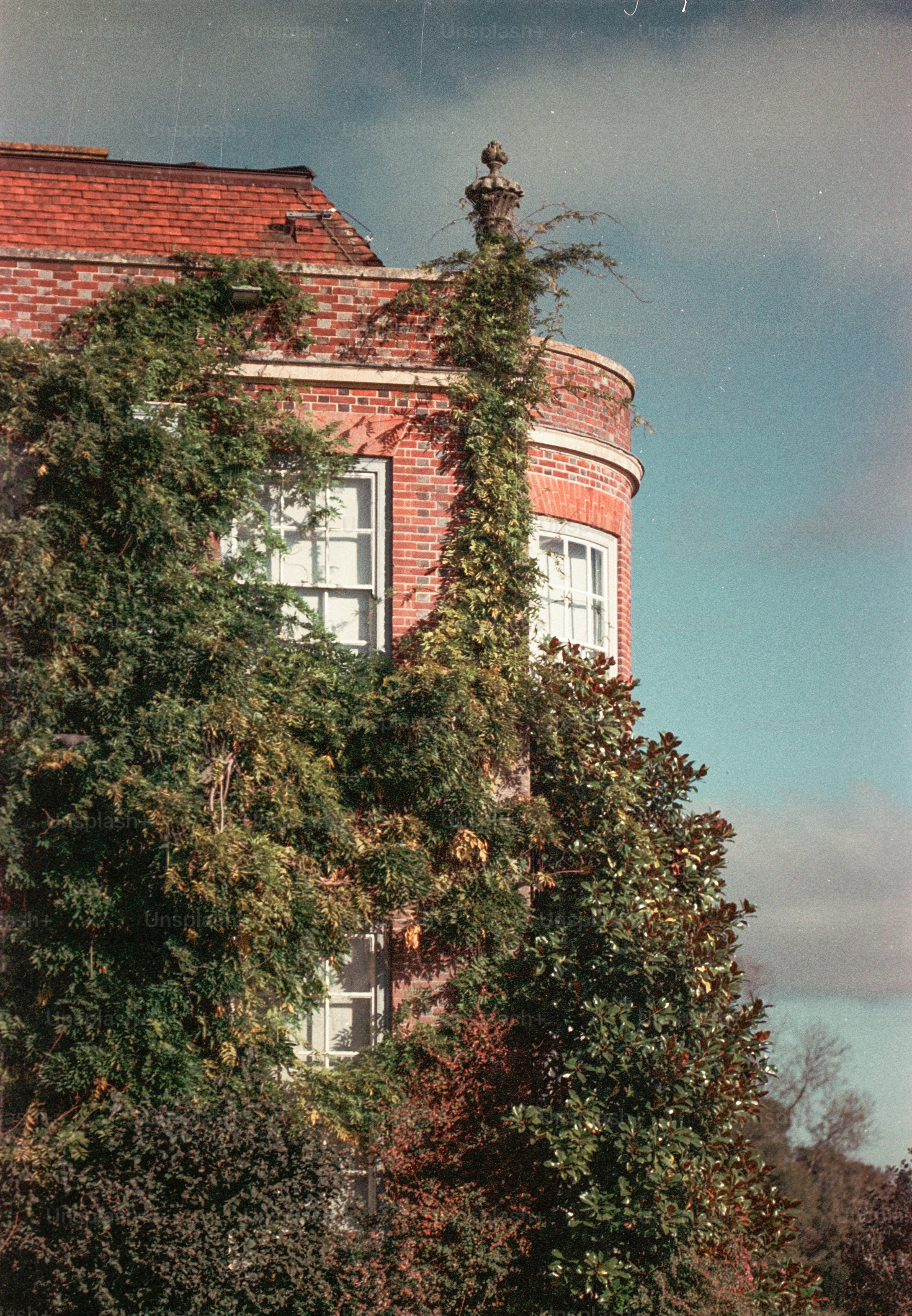 Brick building covered in green ivy under blue sky.