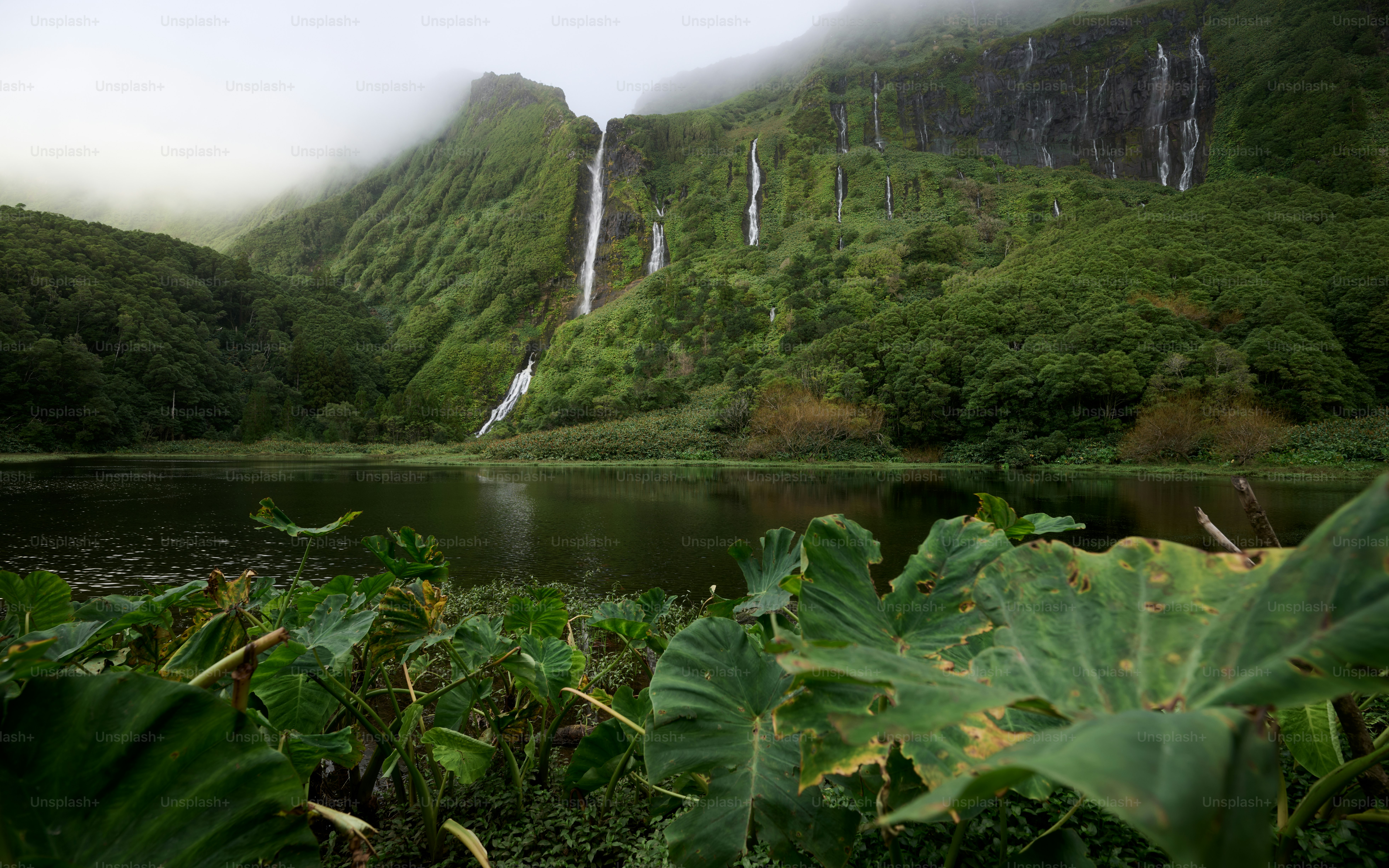 Lush green landscape with cascading waterfalls and a calm lake.