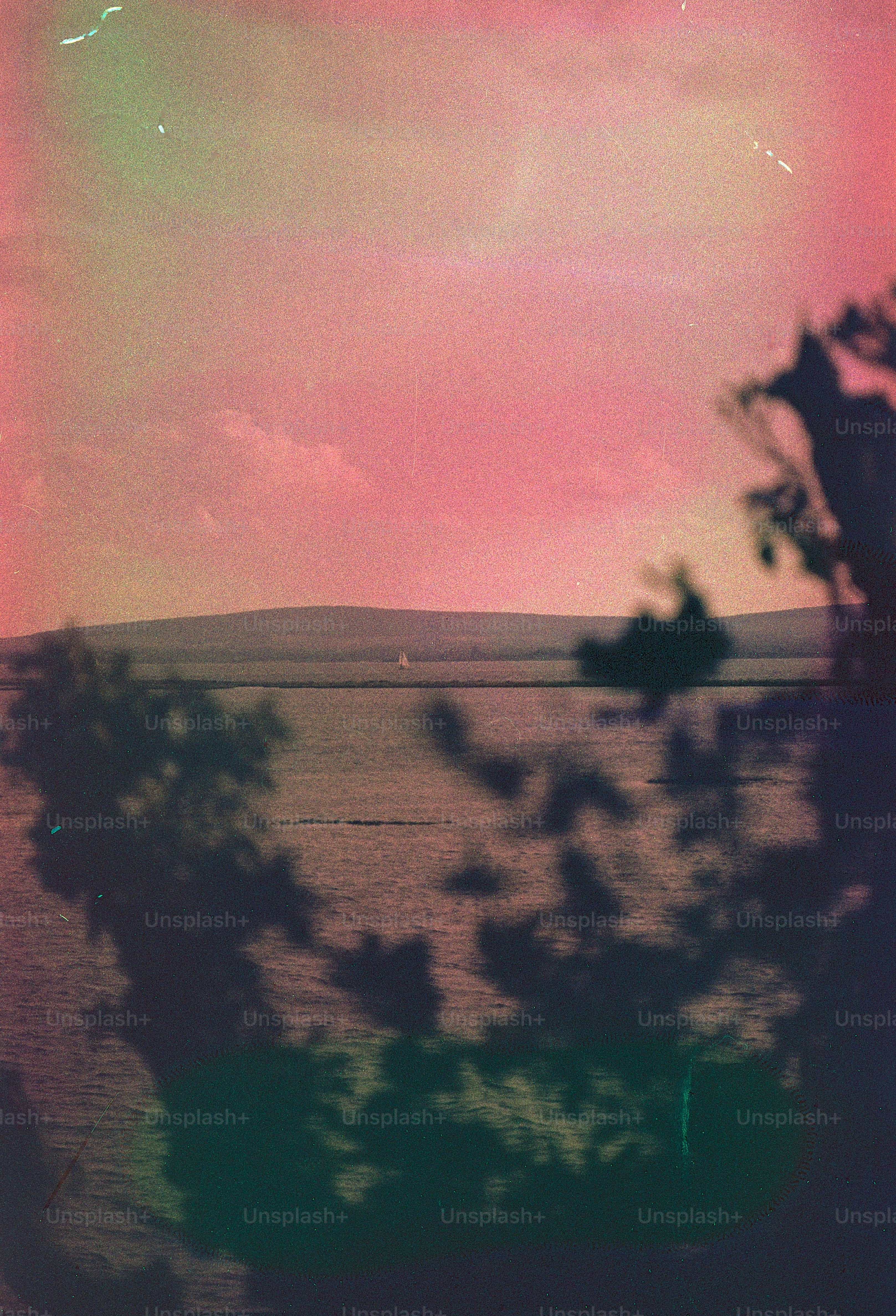 Distant hill over water with trees in foreground