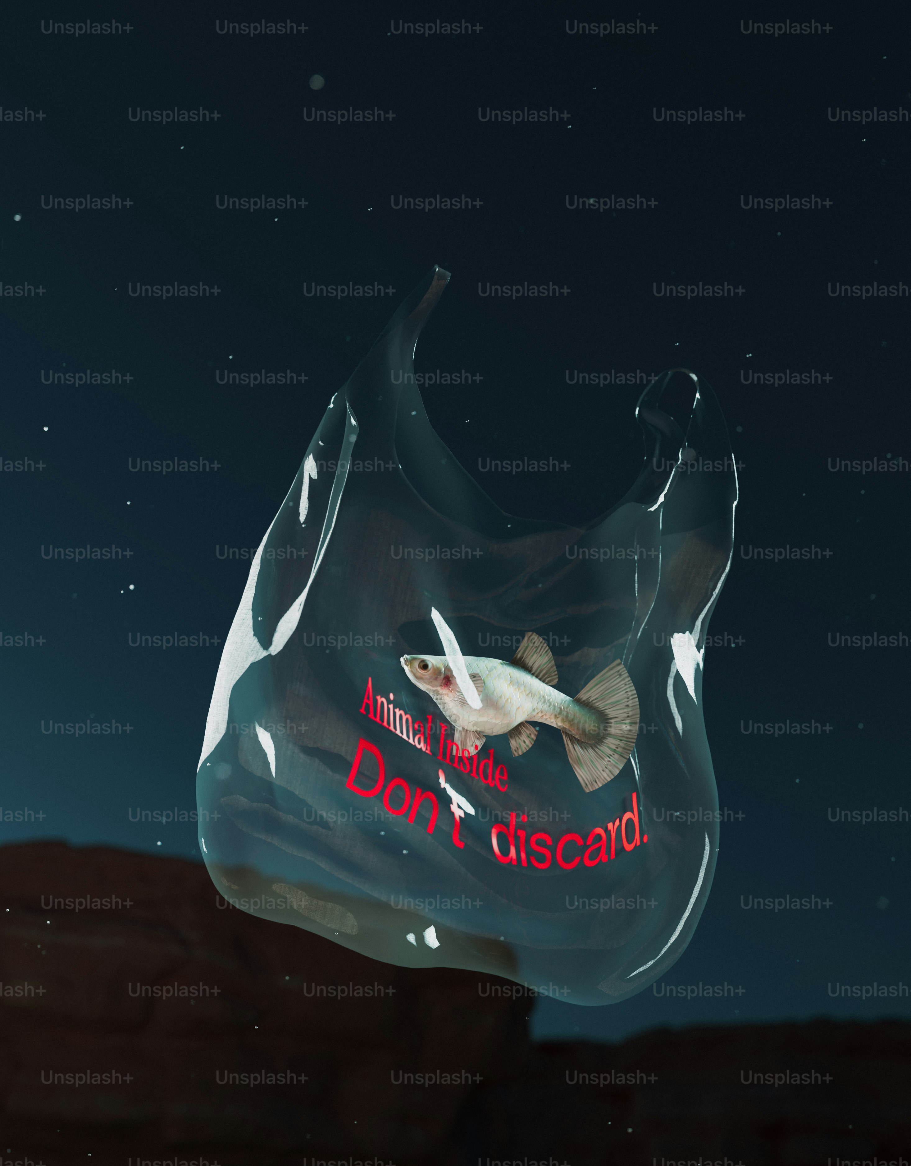 Fish trapped in a plastic bag with a warning message.