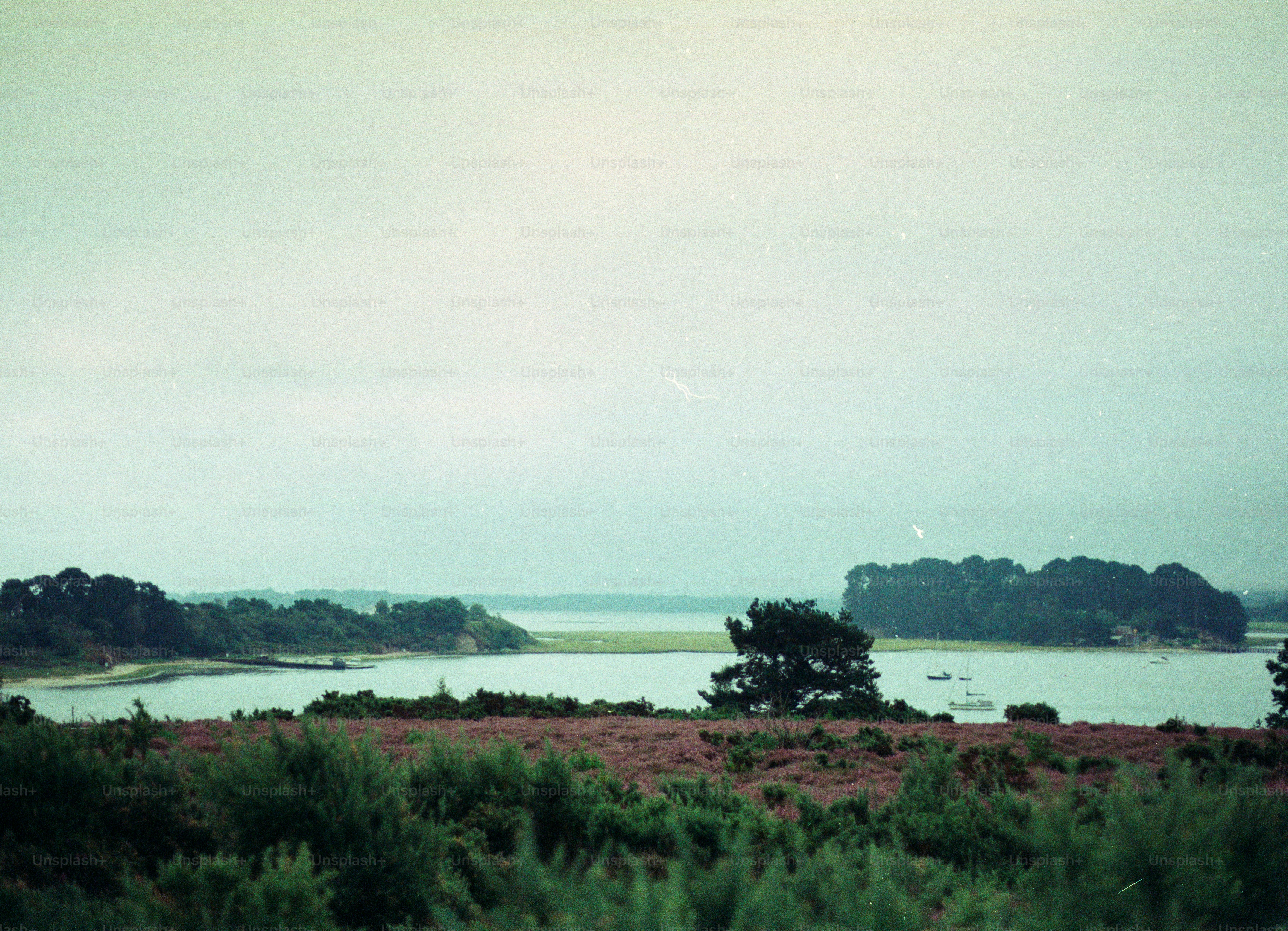 Coastal landscape with trees and water under a cloudy sky