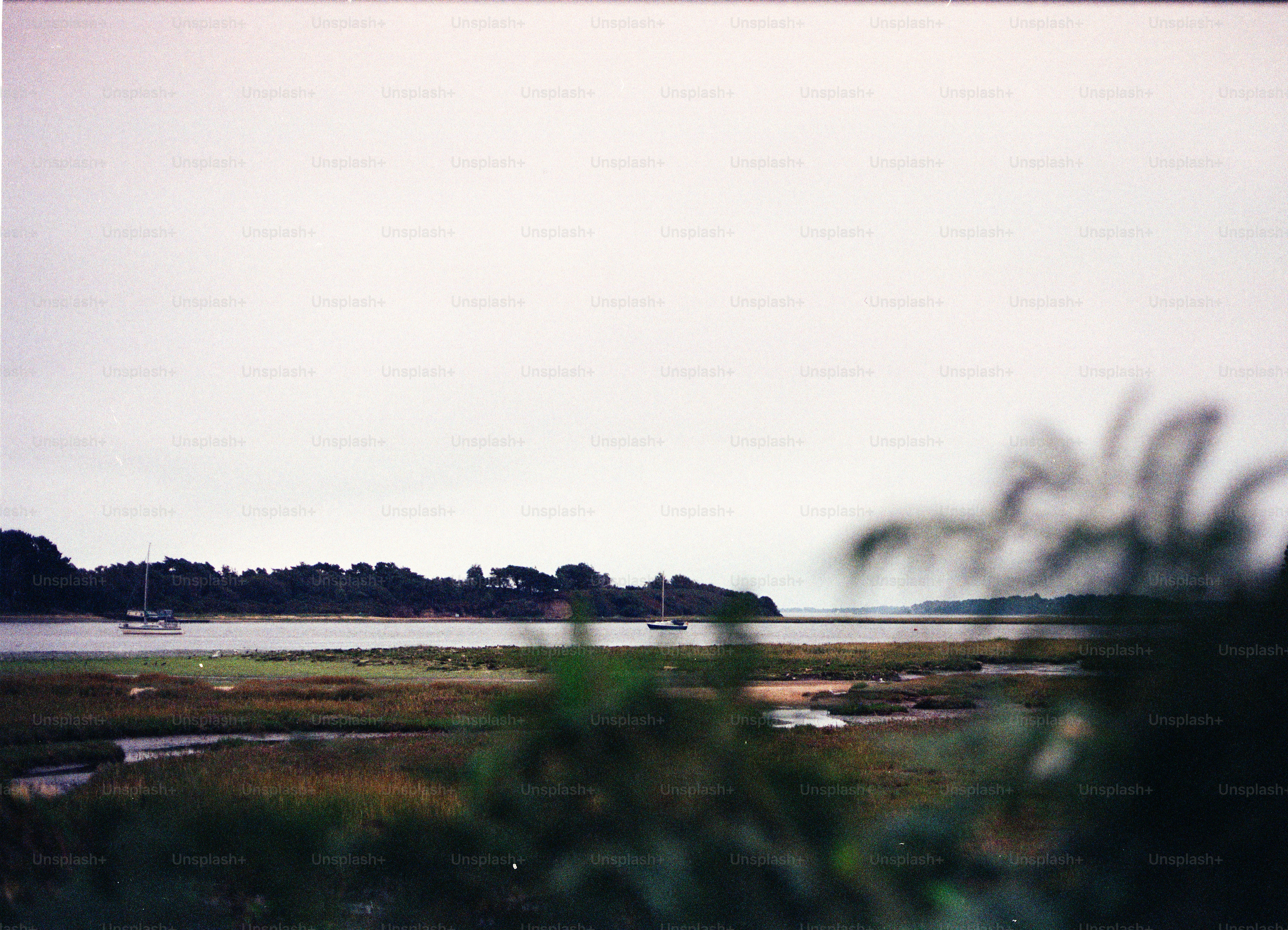 Boats on a calm bay with distant trees