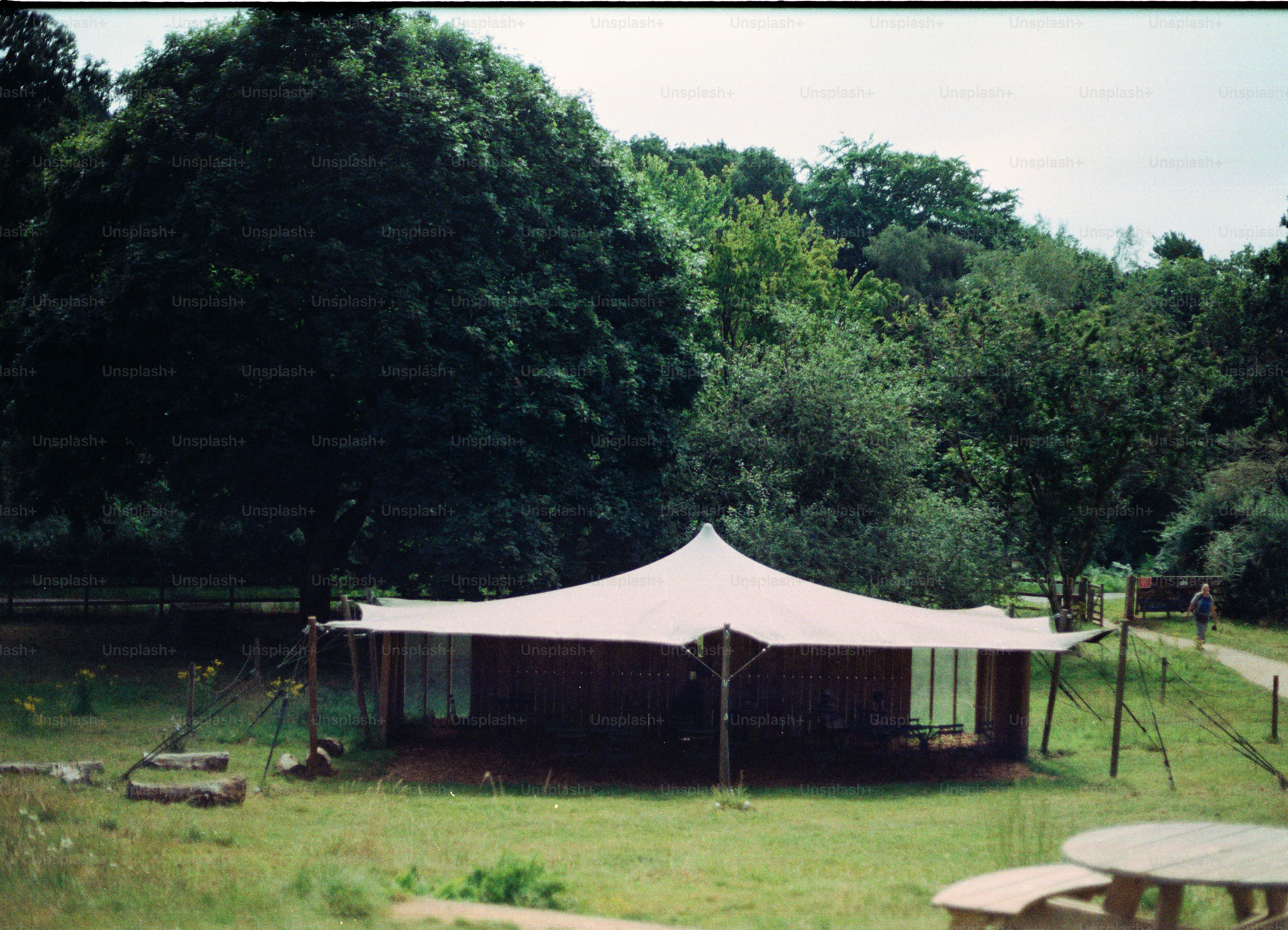 芝生の野原に設営された大きな白いテント。