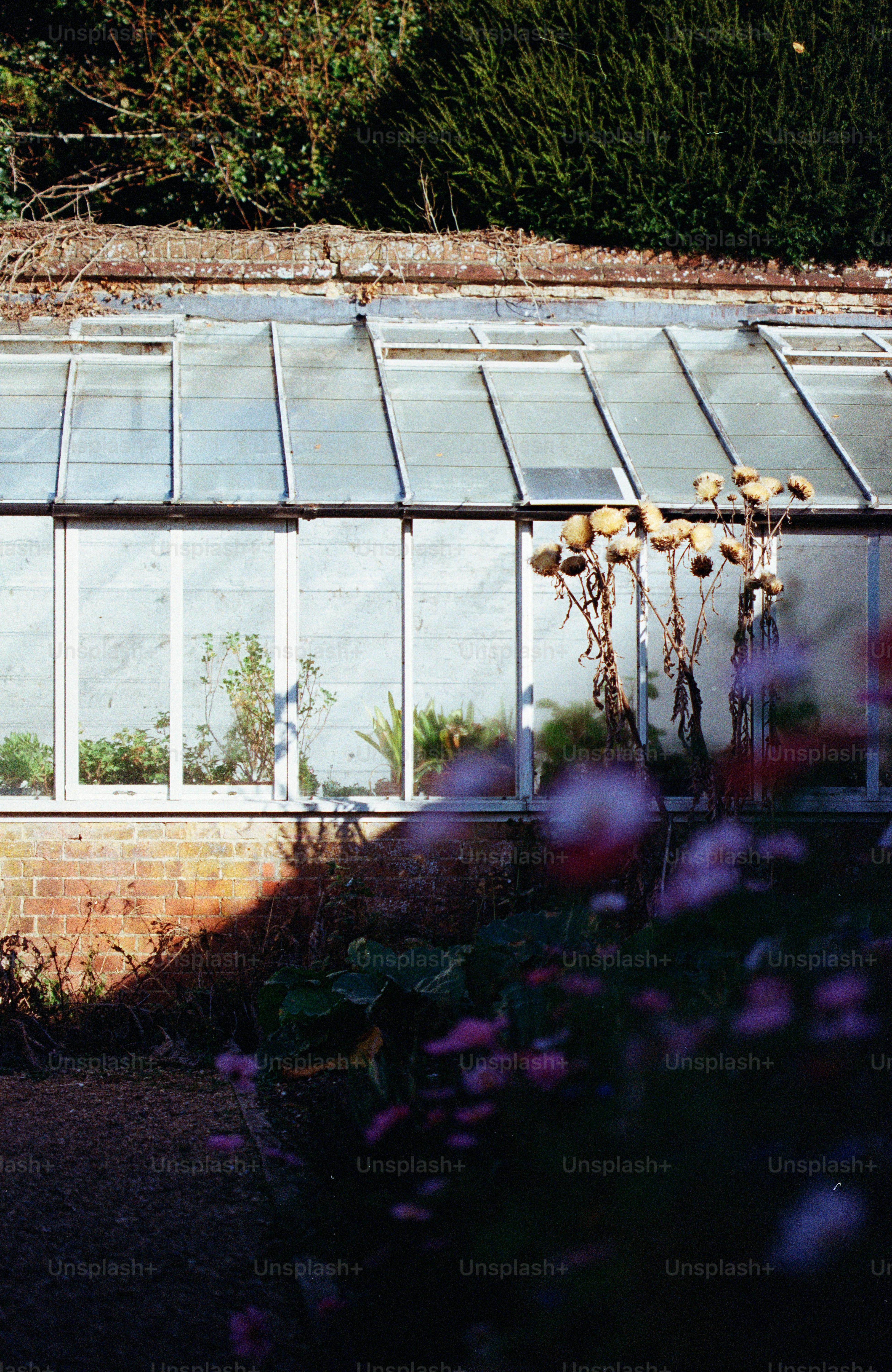 Greenhouse with plants and flowers outside flowers outside