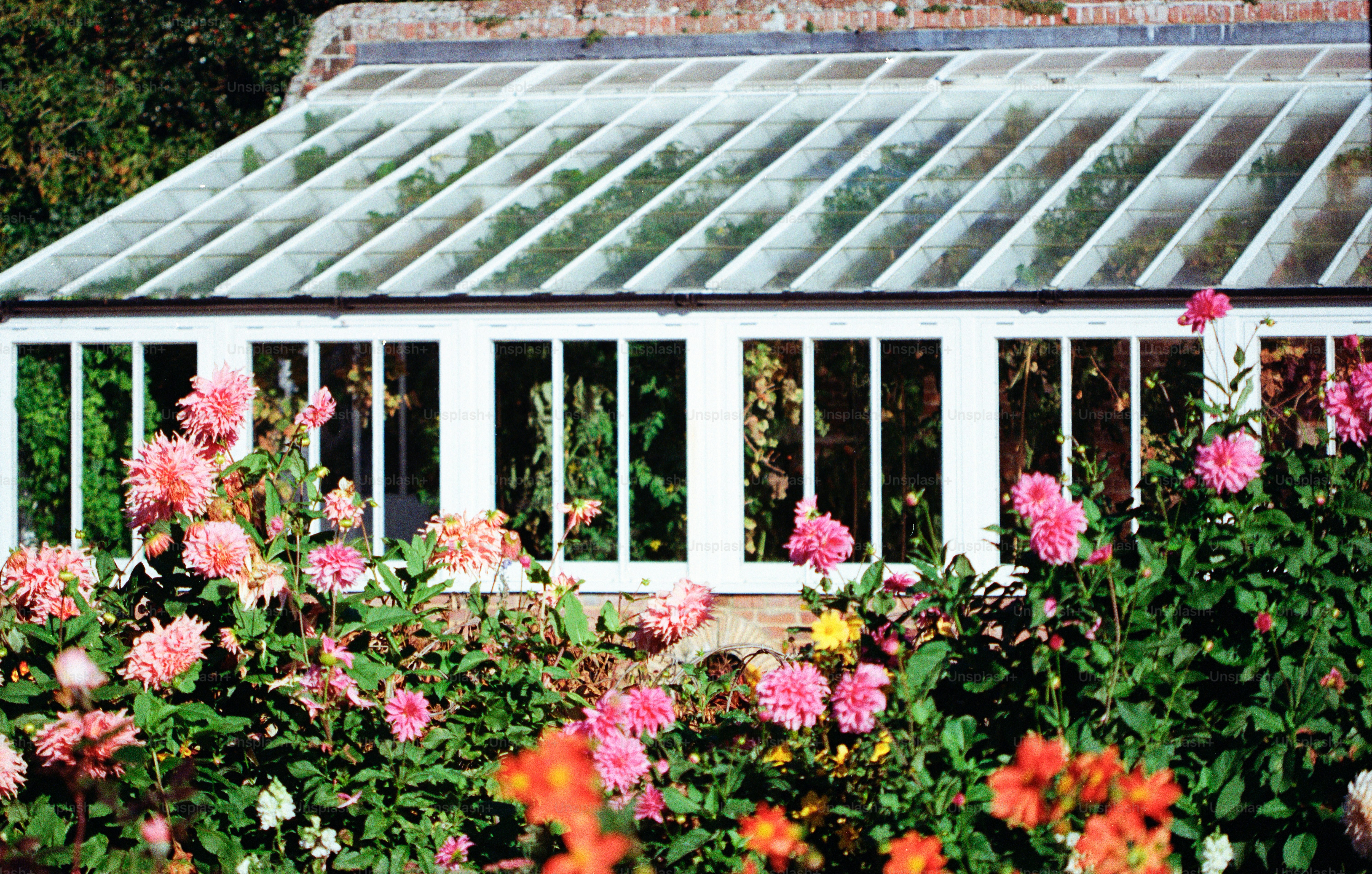 Greenhouse with vibrant flowers in front