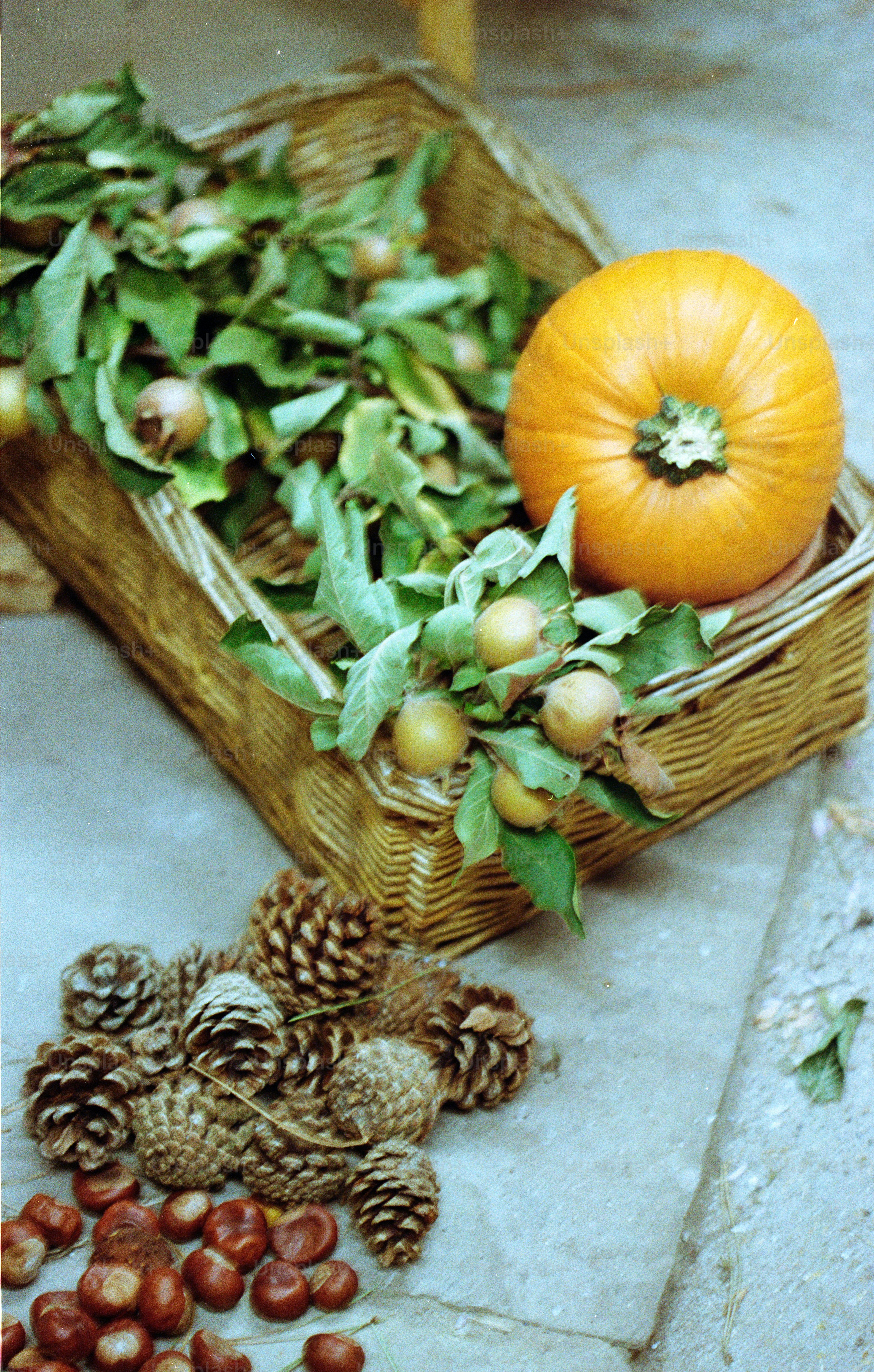 Woven basket with pumpkin, leaves, and small fruits.