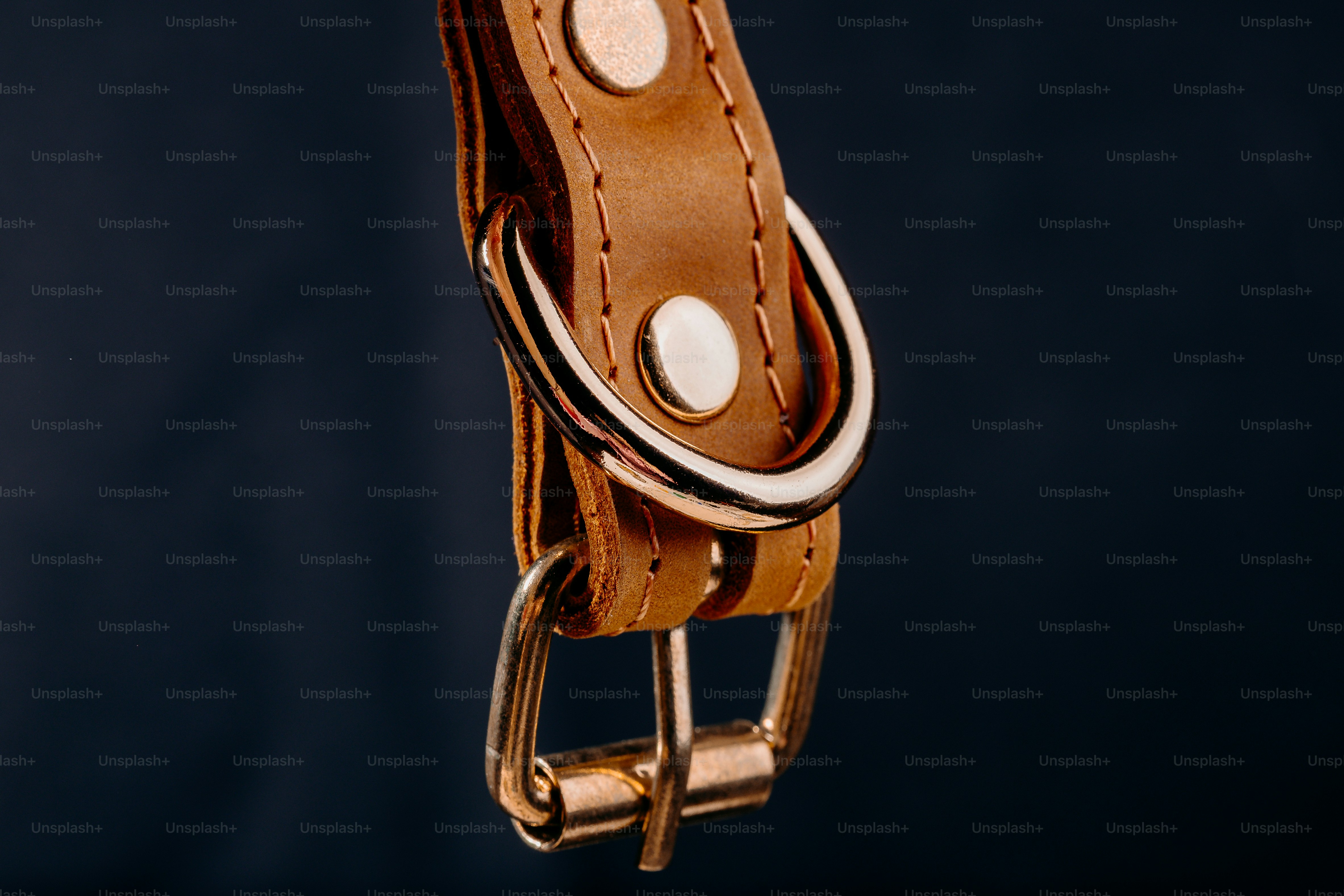 Close-up of a brown leather dog collar with buckle