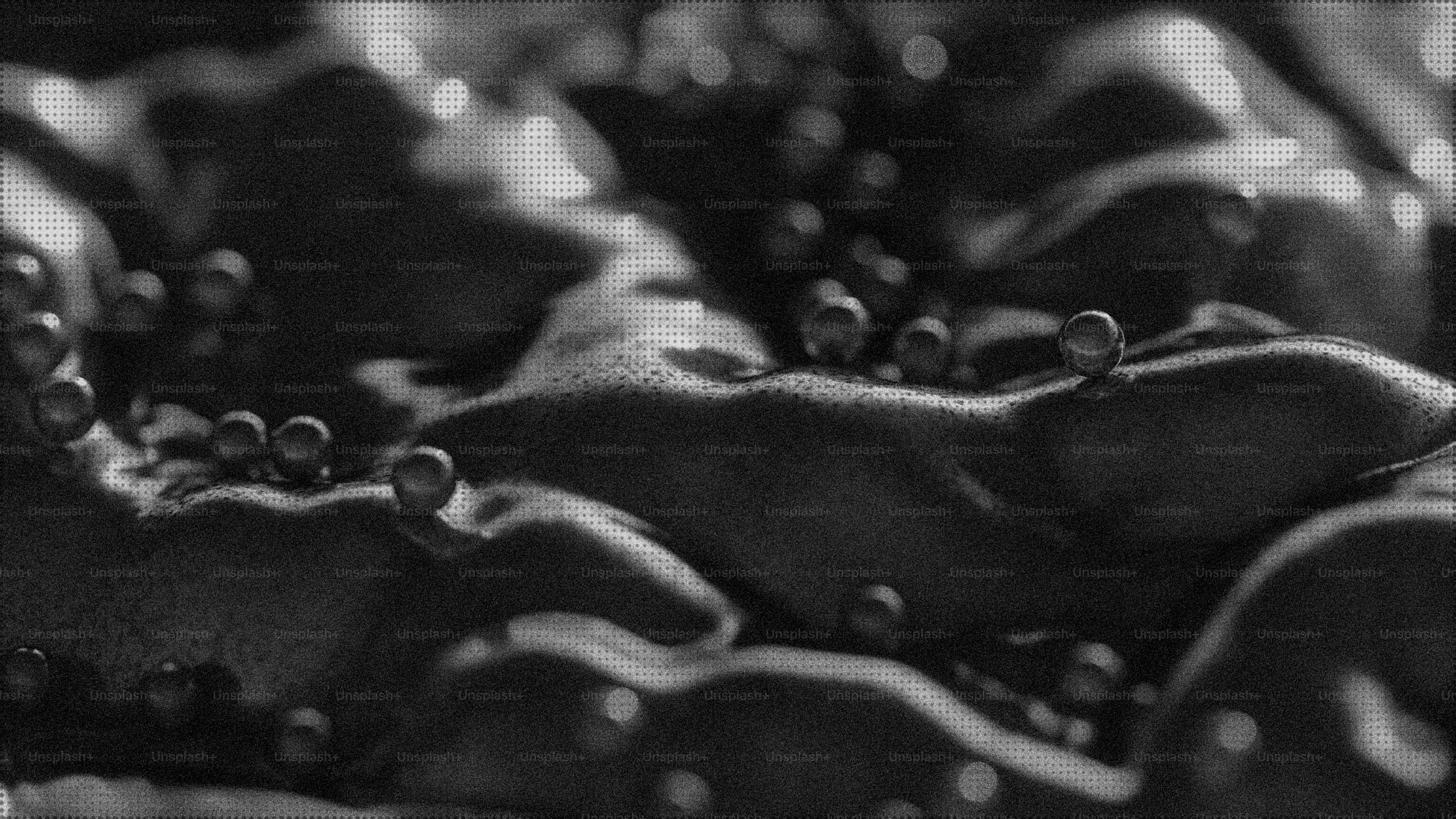 Close-up of dark liquid with small bubbles