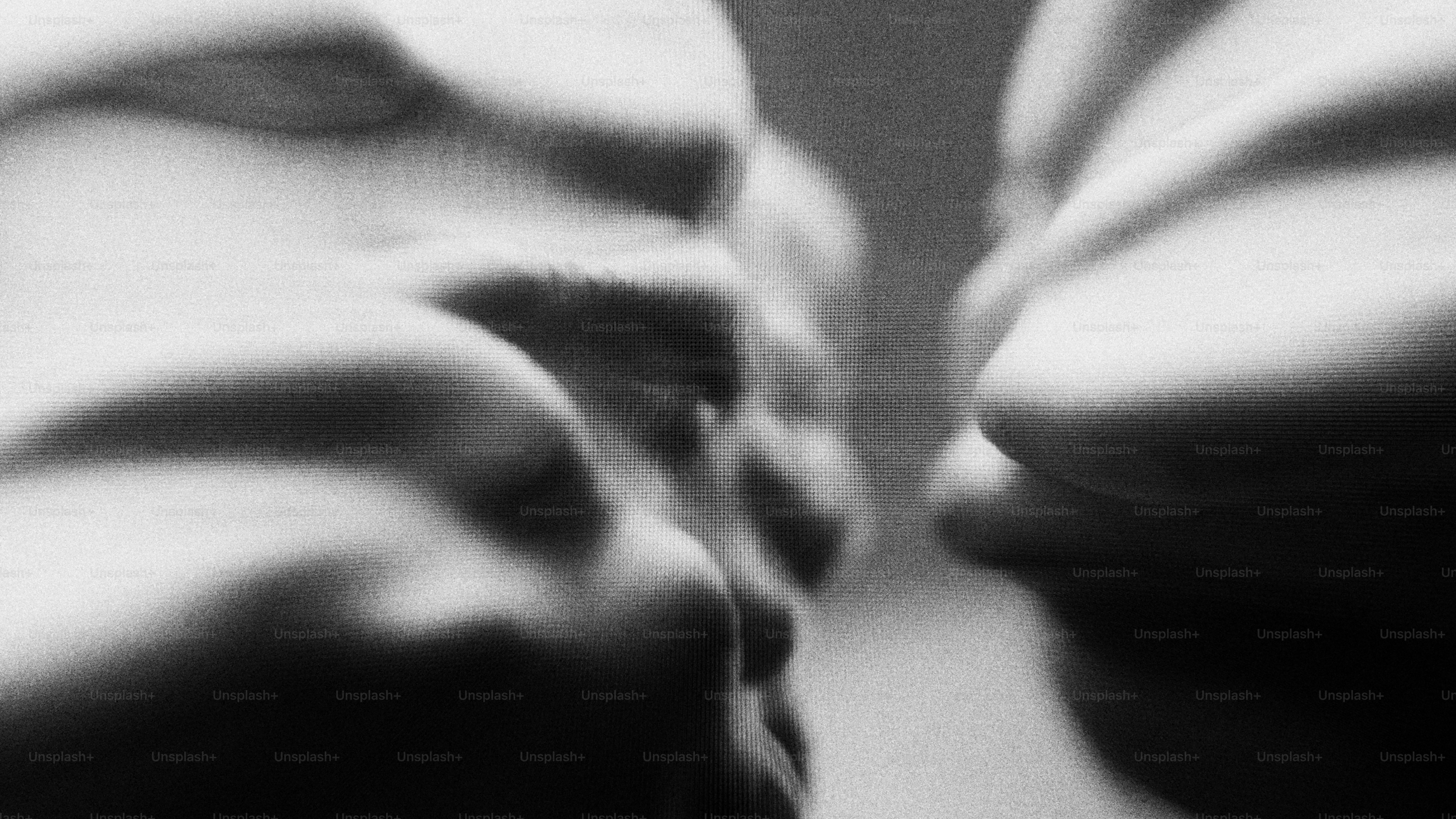 Two faces close together in black and white.