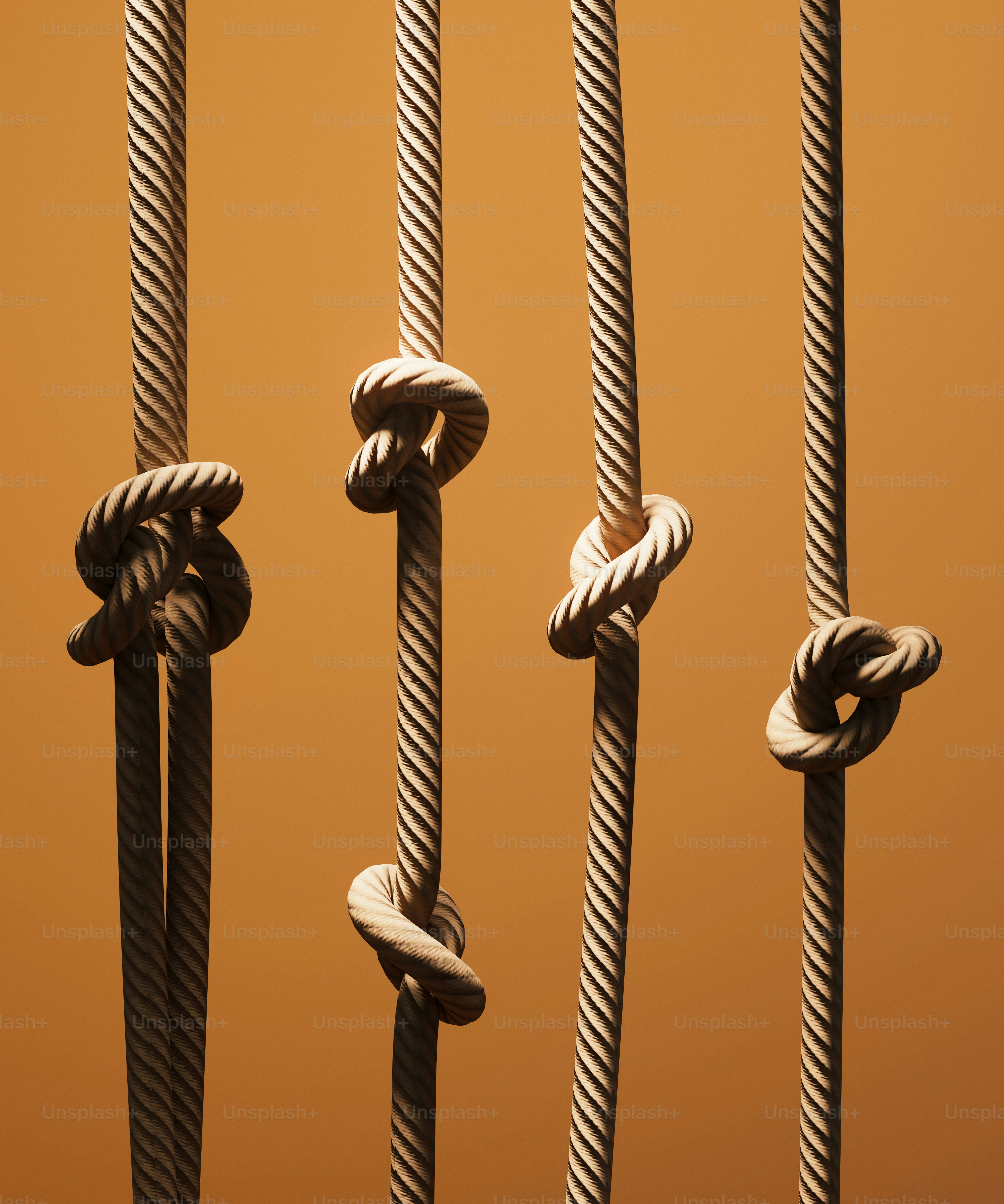 Four ropes with different knots against orange background