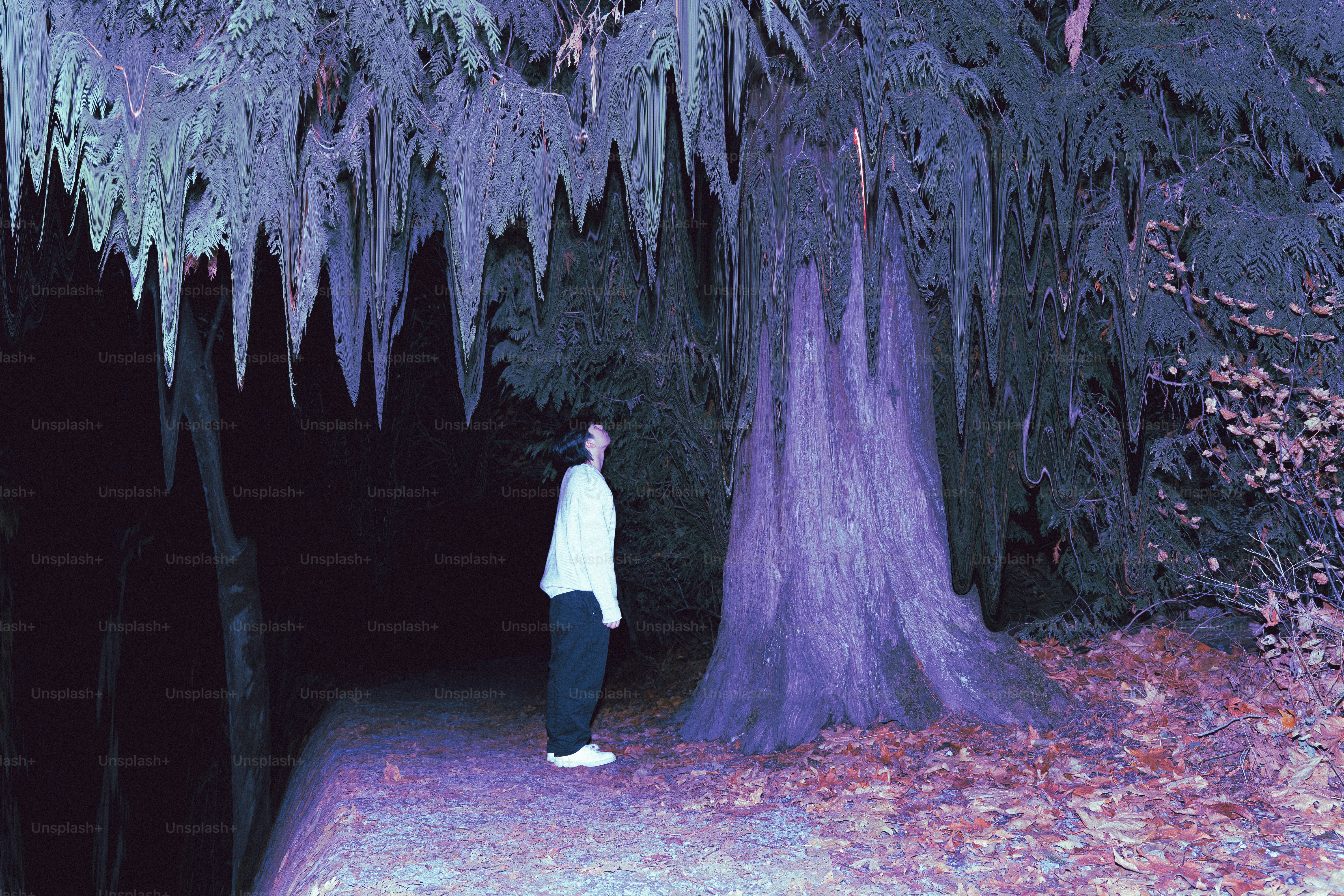 Person standing by a large tree with hanging branches