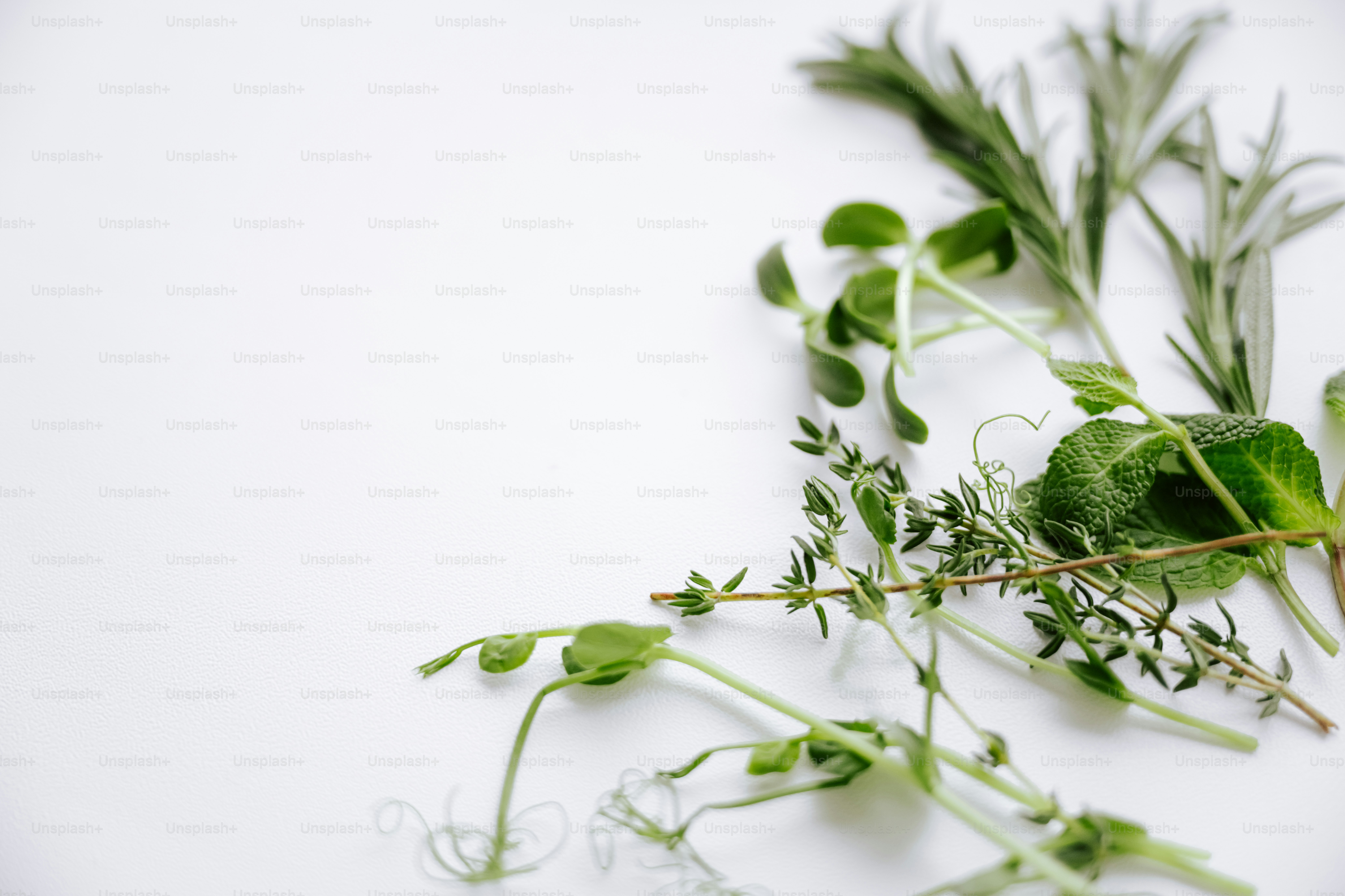 Fresh herbs and microgreens arranged on a white surface.