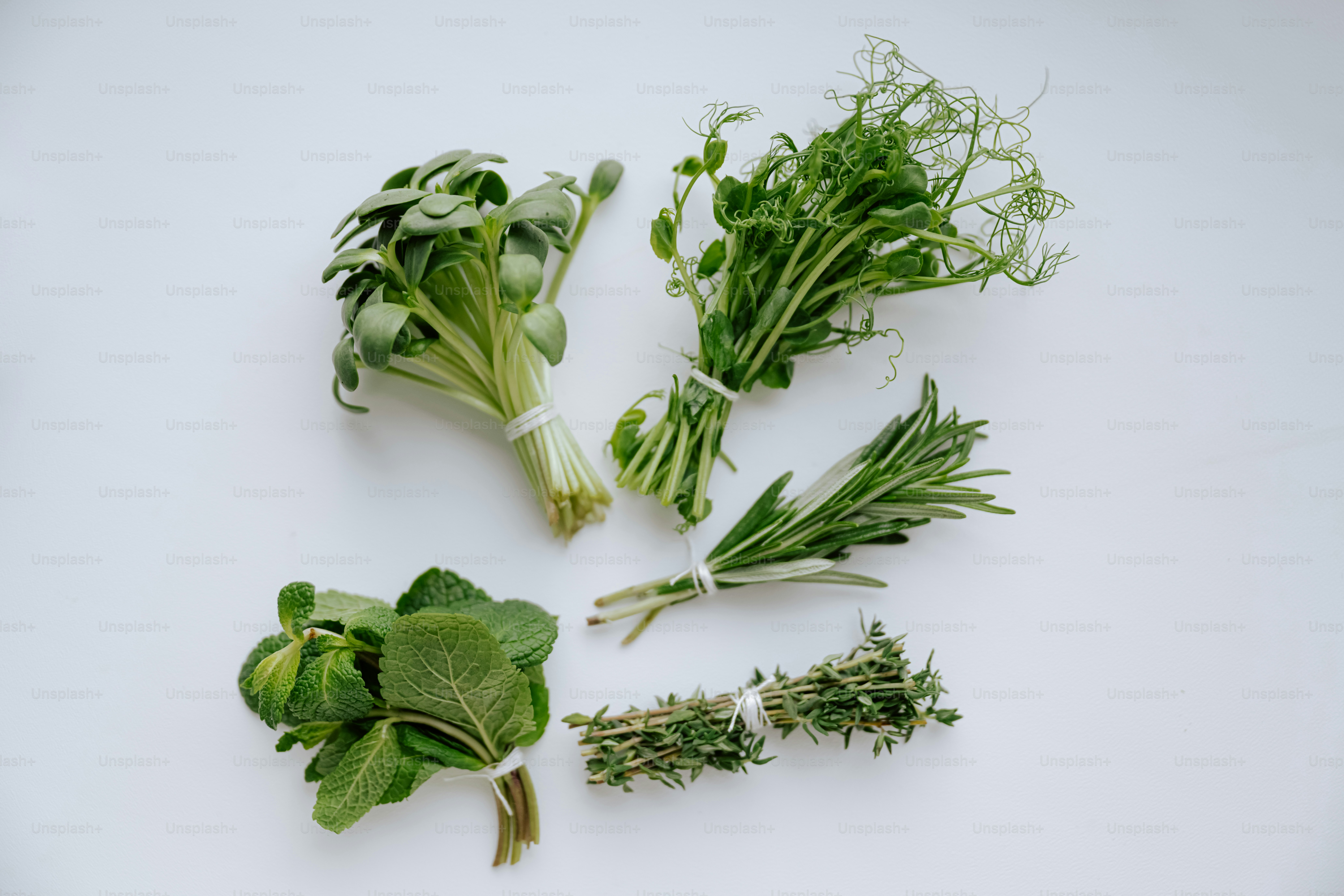 Four bunches of fresh herbs on white background.