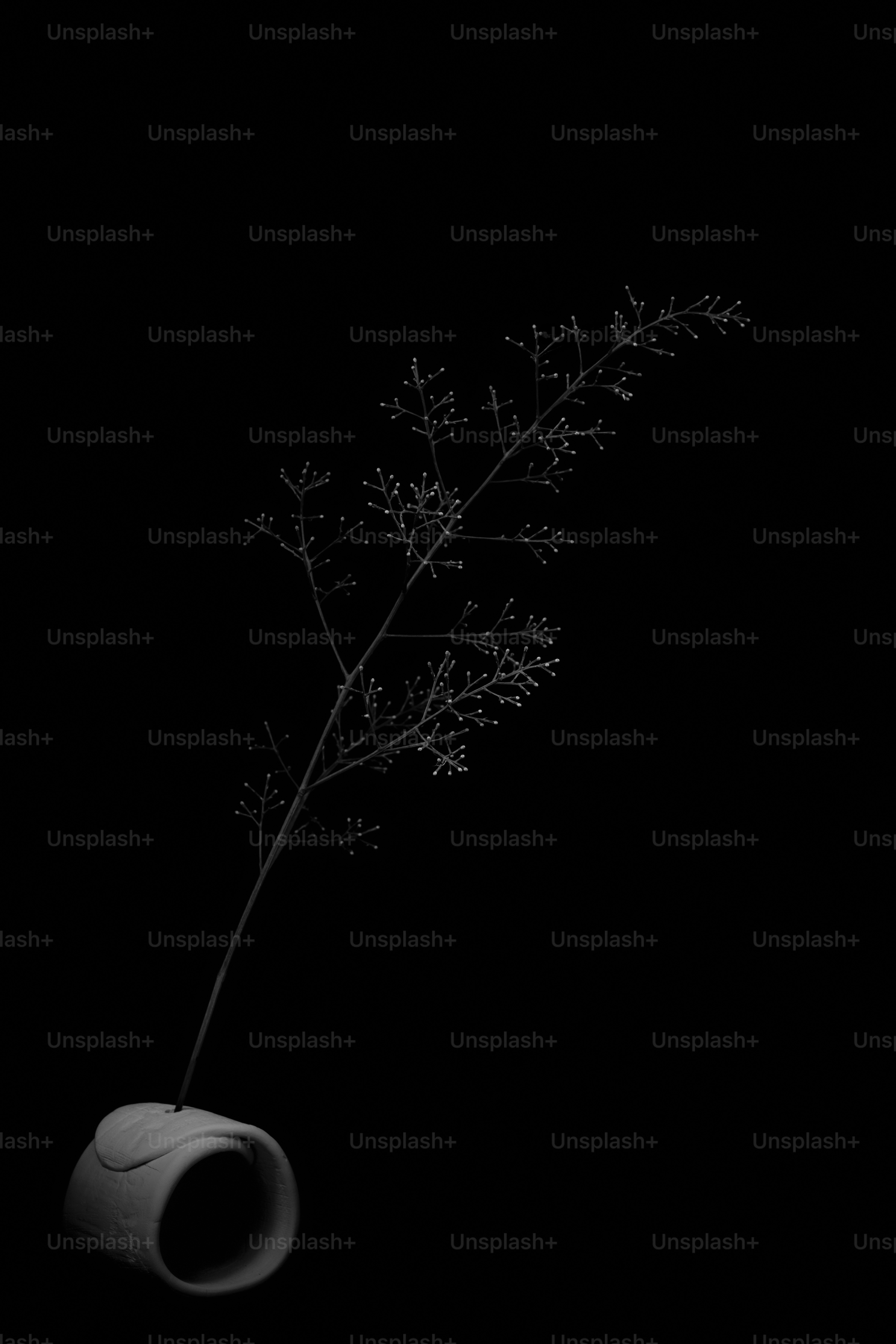 A delicate dried plant in a white vase.