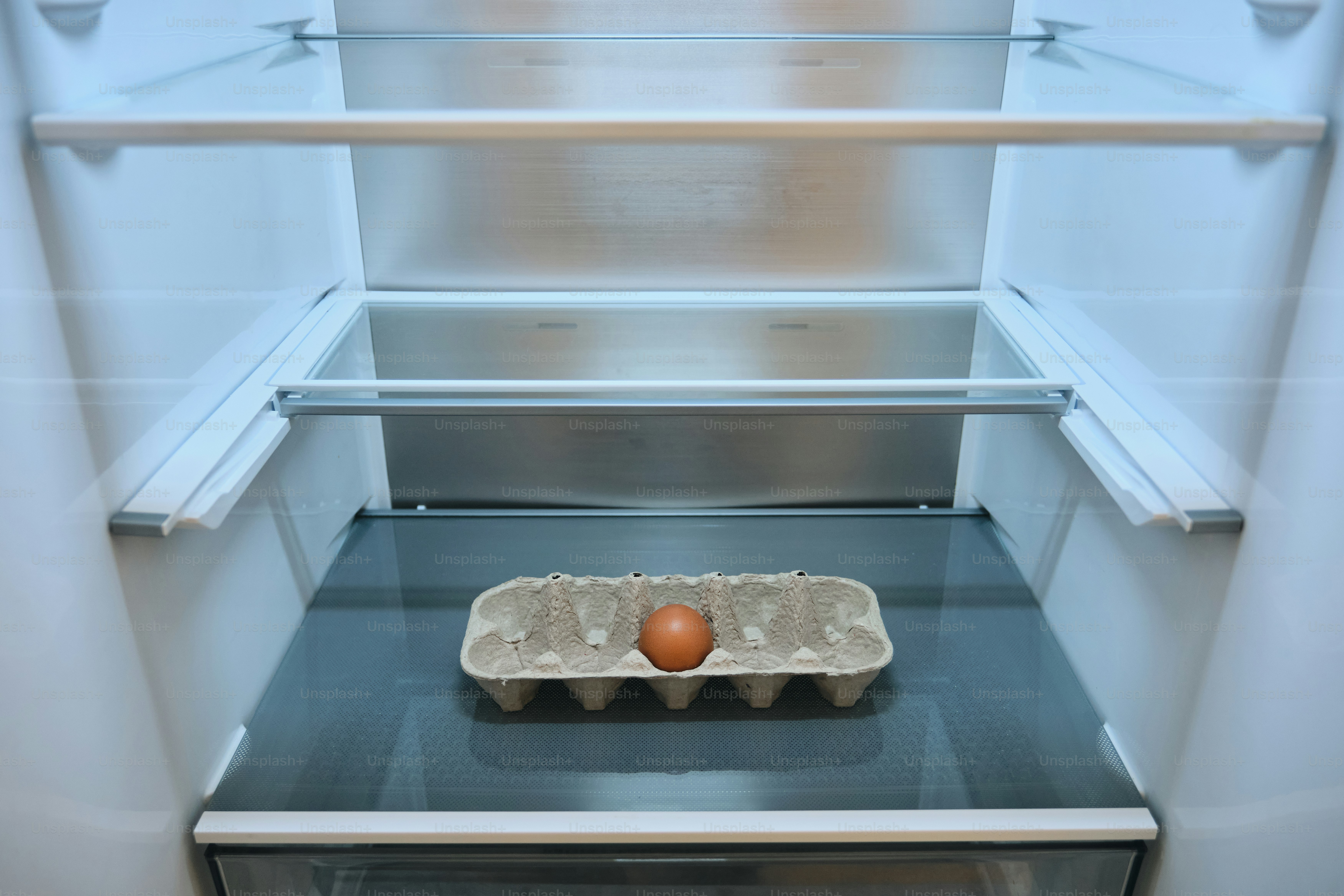 Single egg in carton inside empty refrigerator