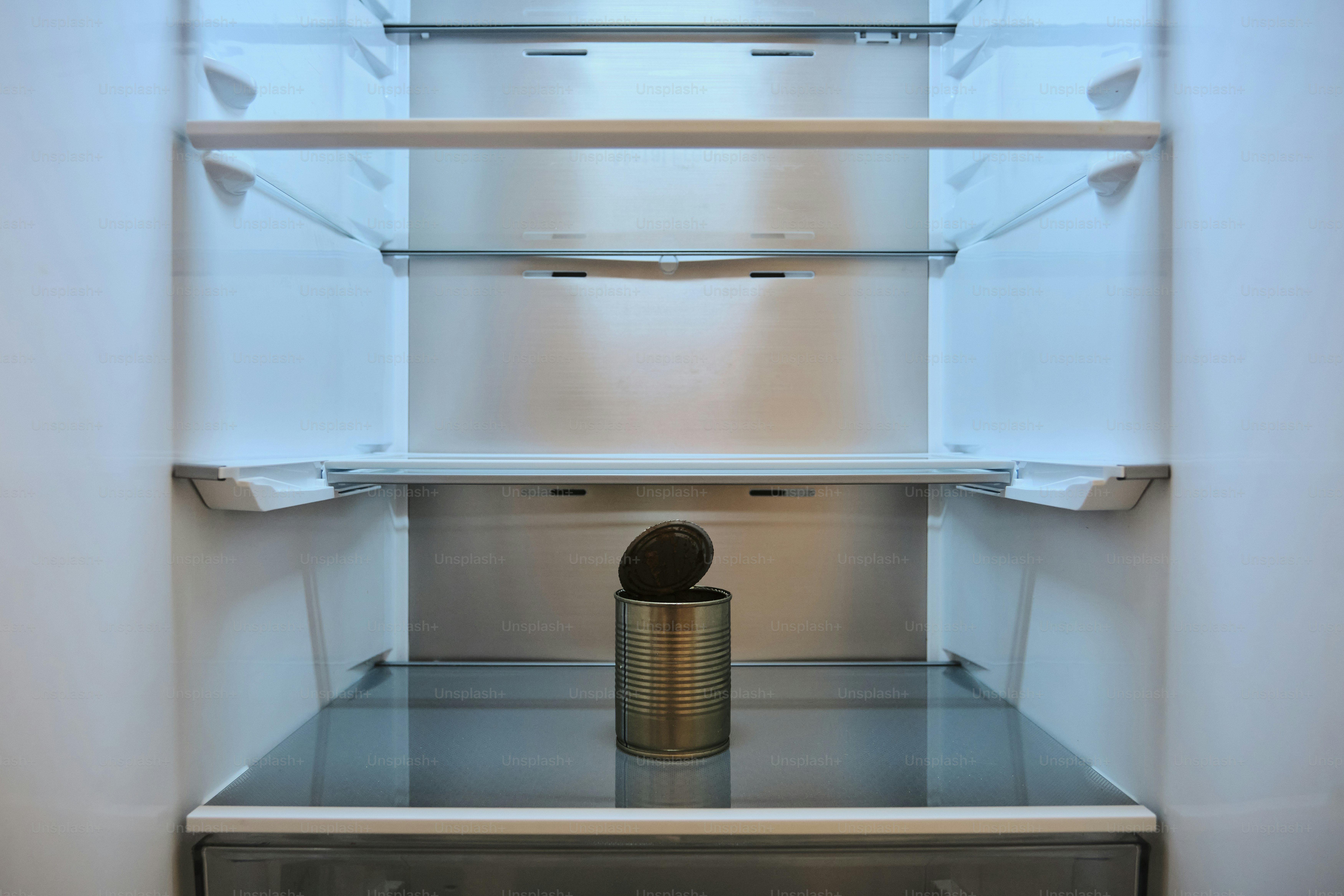 Single can on empty refrigerator shelf