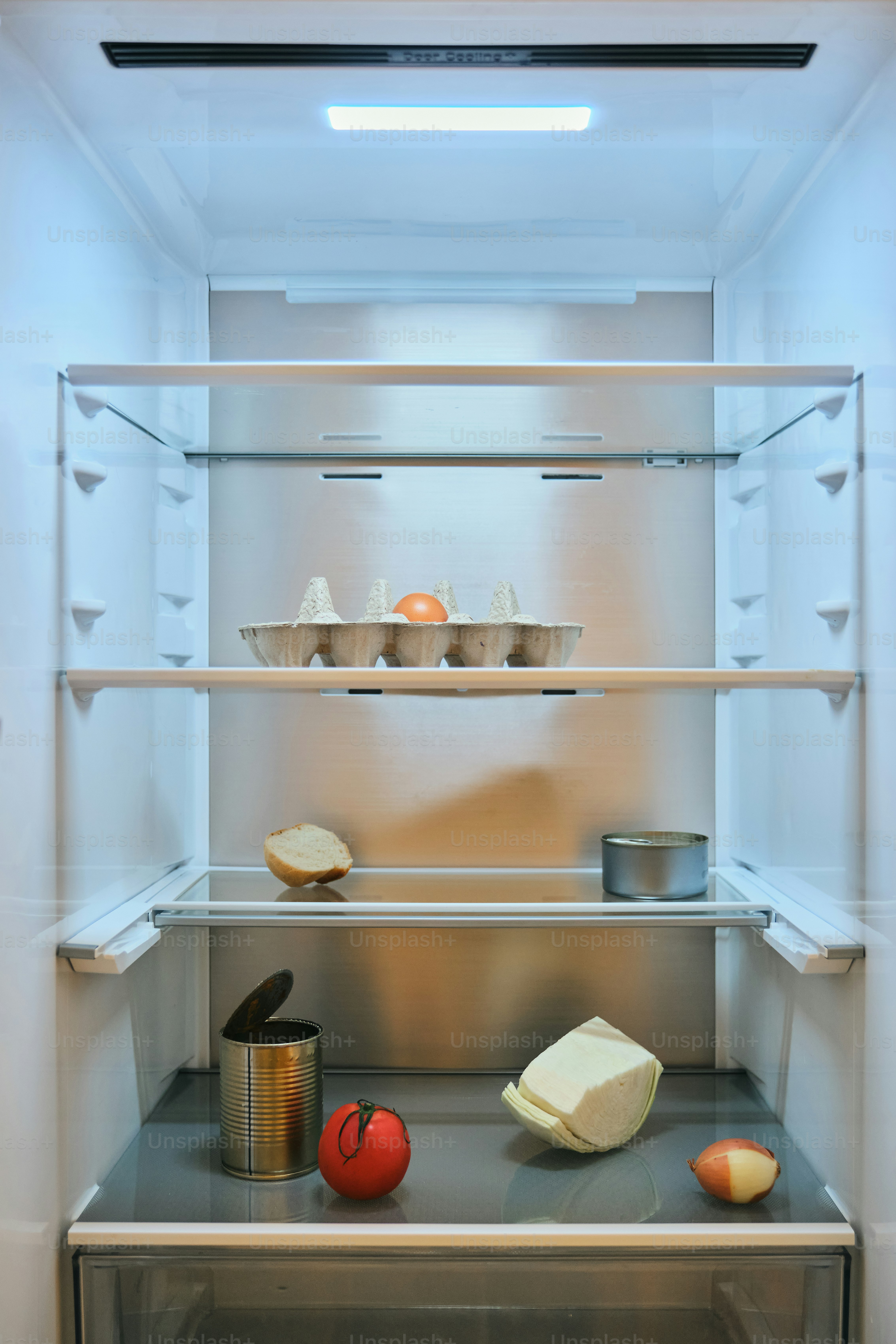 Sparse contents in an empty refrigerator