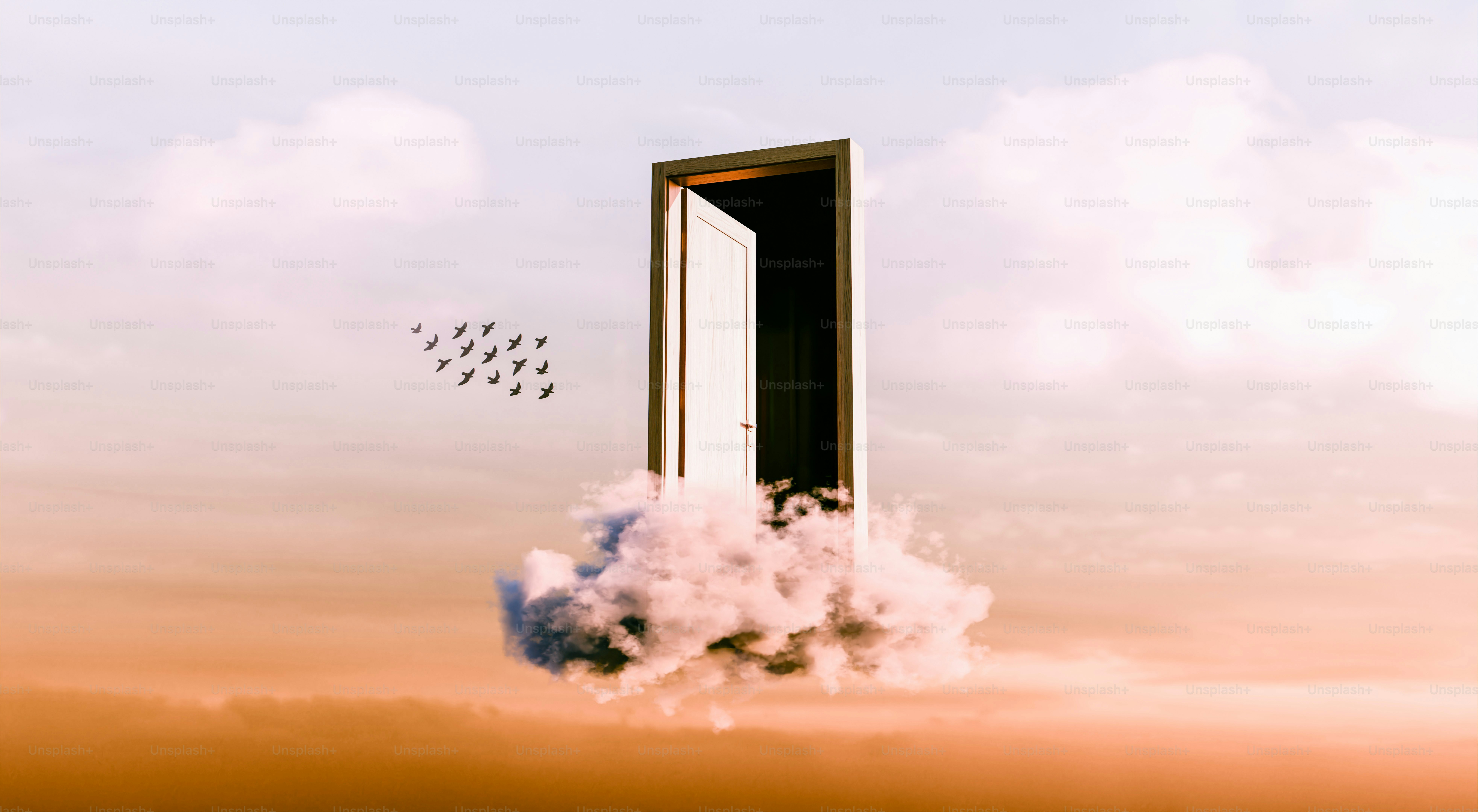 Open door in clouds with birds flying
