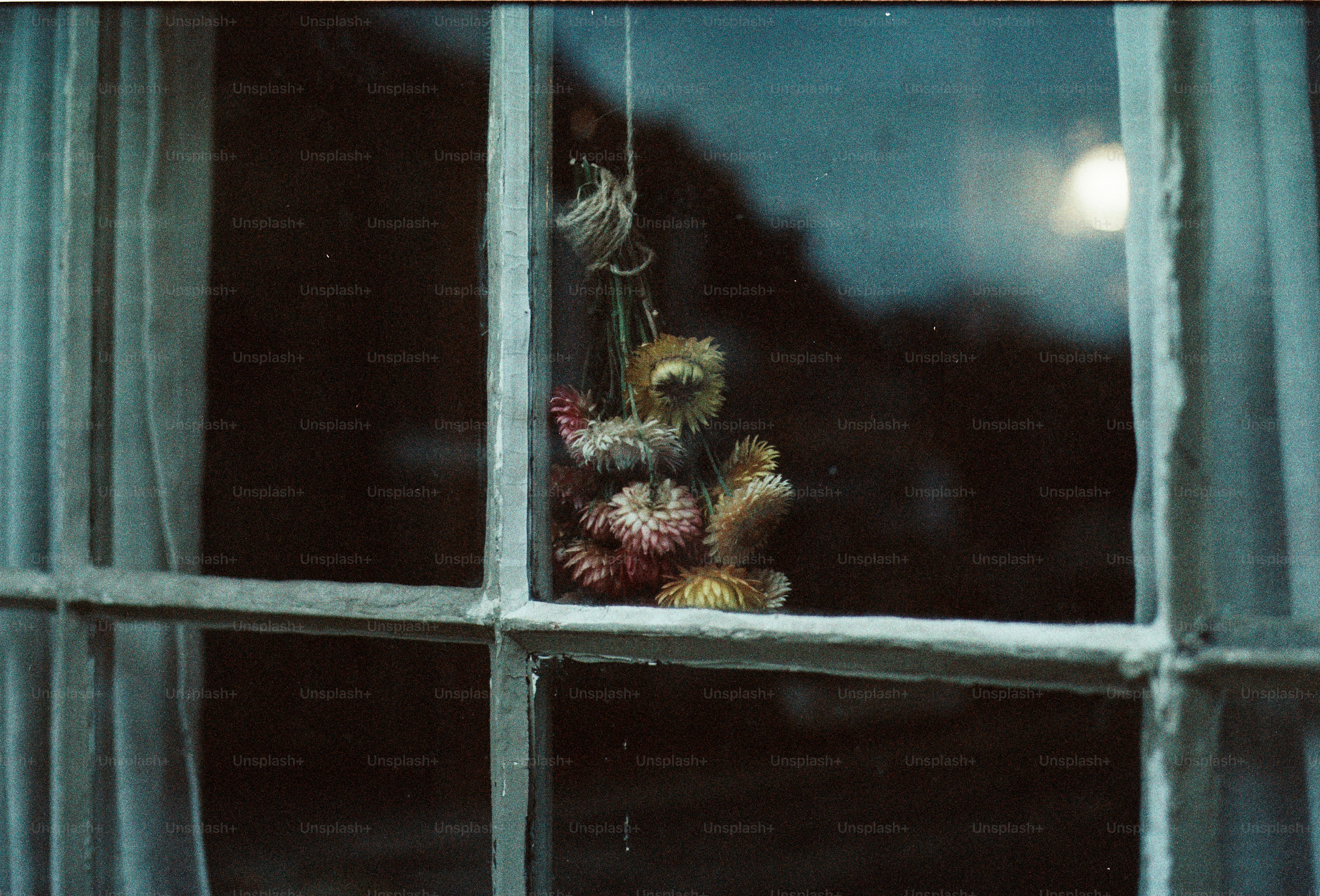 Small stuffed animals hanging in a window