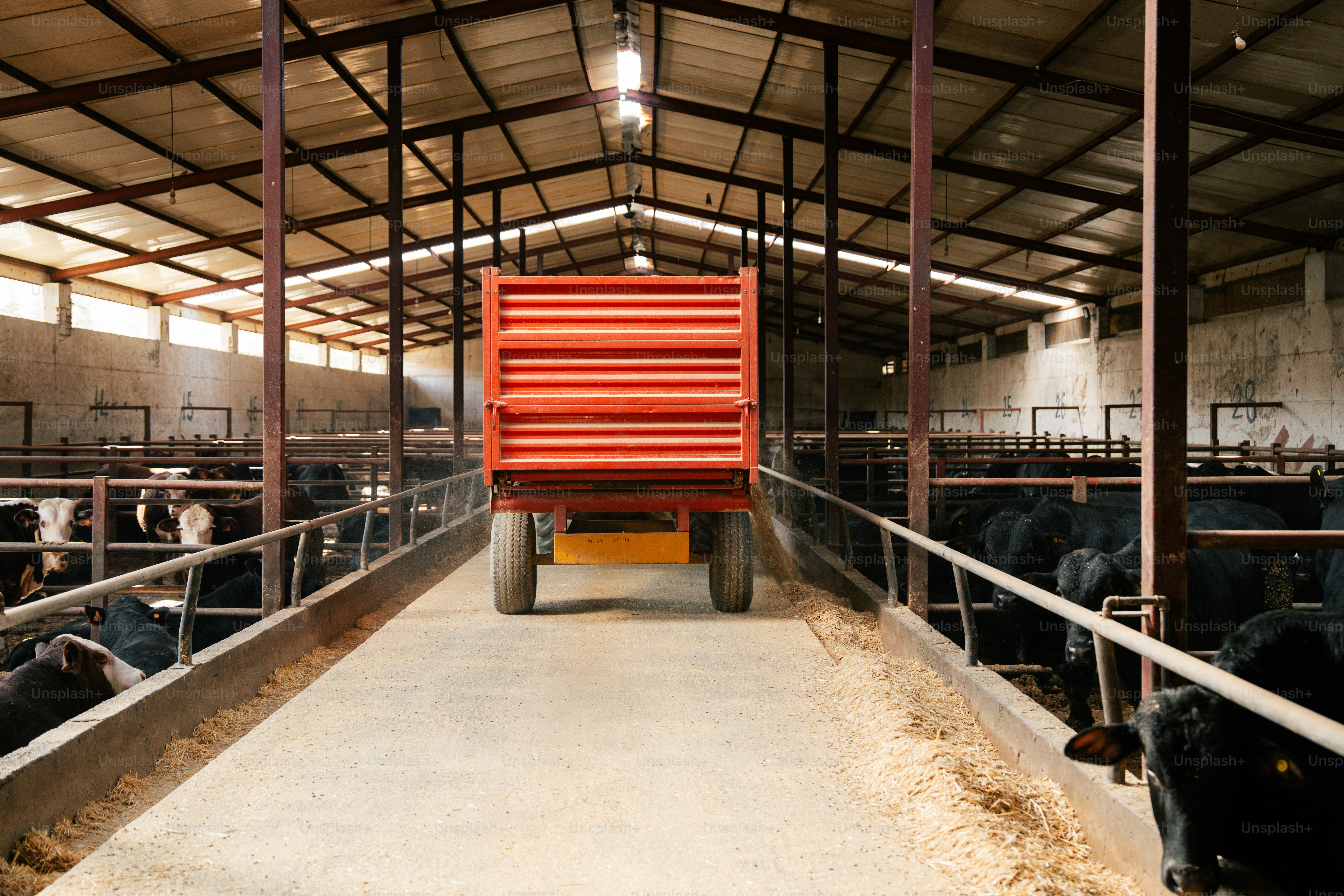 premium_photo-1762968112778-7693213c6a68?ixid=M3wxMjA3fDB8MXxzZWFyY2h8MXx8ZmFybSUyMGV4cG9ydCUyMHNlcnZpY2VzfGVufDB8fHx8MTc2OTg2MjIzOXww\u0026ixlib=rb-4.1.0