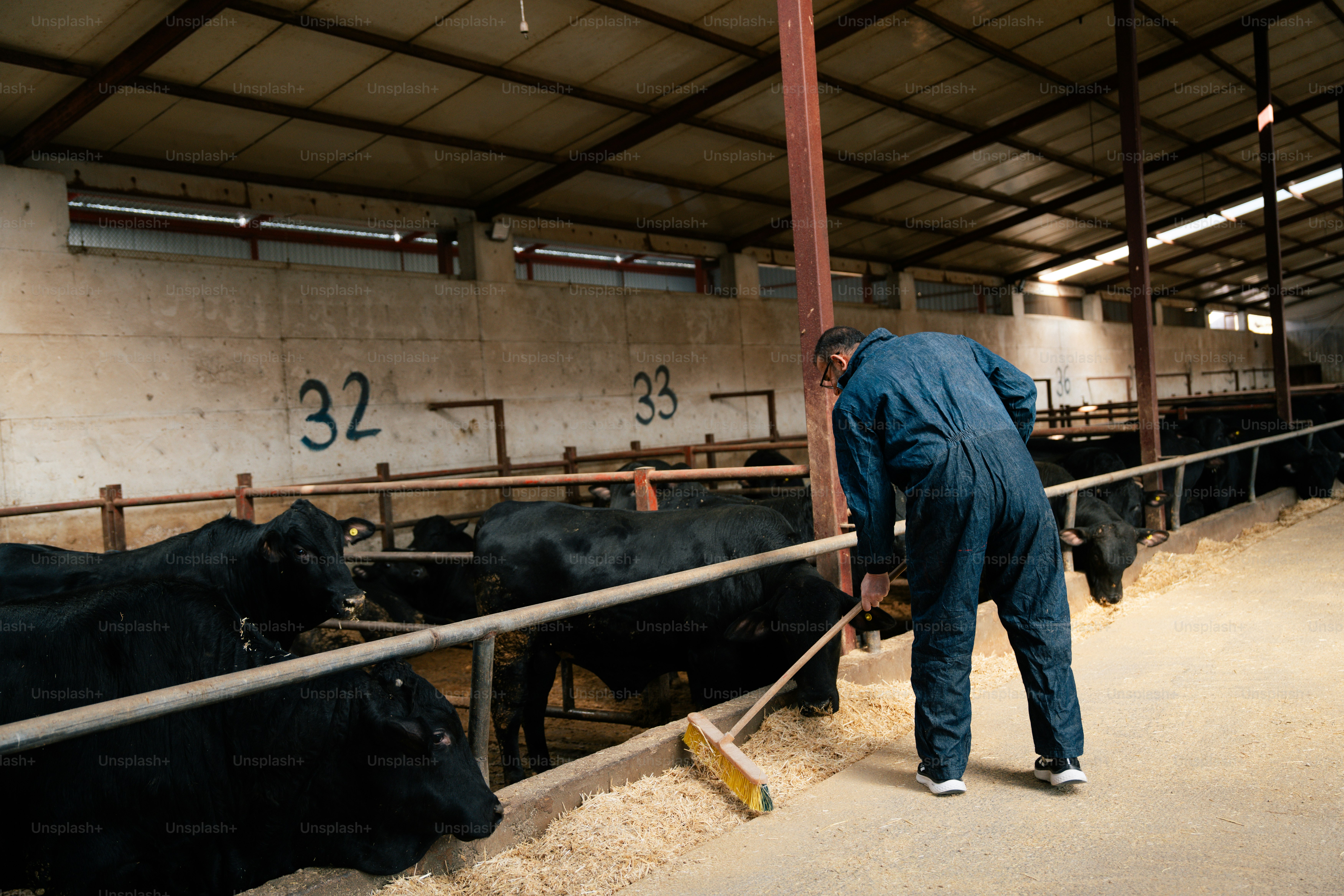 Farmer operating feed mixer machine in barn photo – Pink Image on Unsplash
