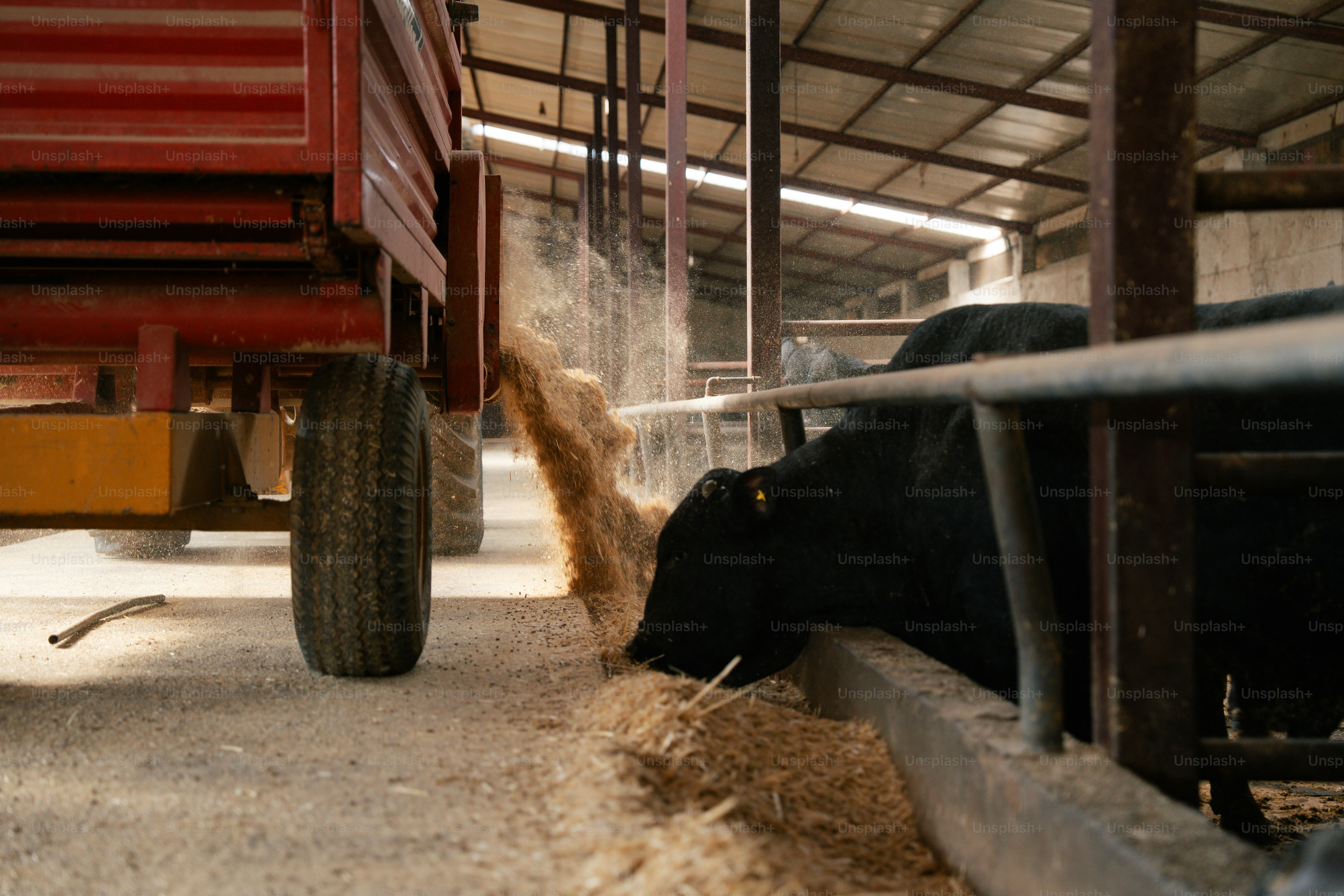 premium_photo-1762968113156-f5b0ffbf483a?ixid=M3wxMjA3fDB8MXxzZWFyY2h8NXx8ZmFybSUyMGV4cG9ydCUyMHNlcnZpY2VzfGVufDB8fHx8MTc2OTg2MjIzOXww\u0026ixlib=rb-4.1.0