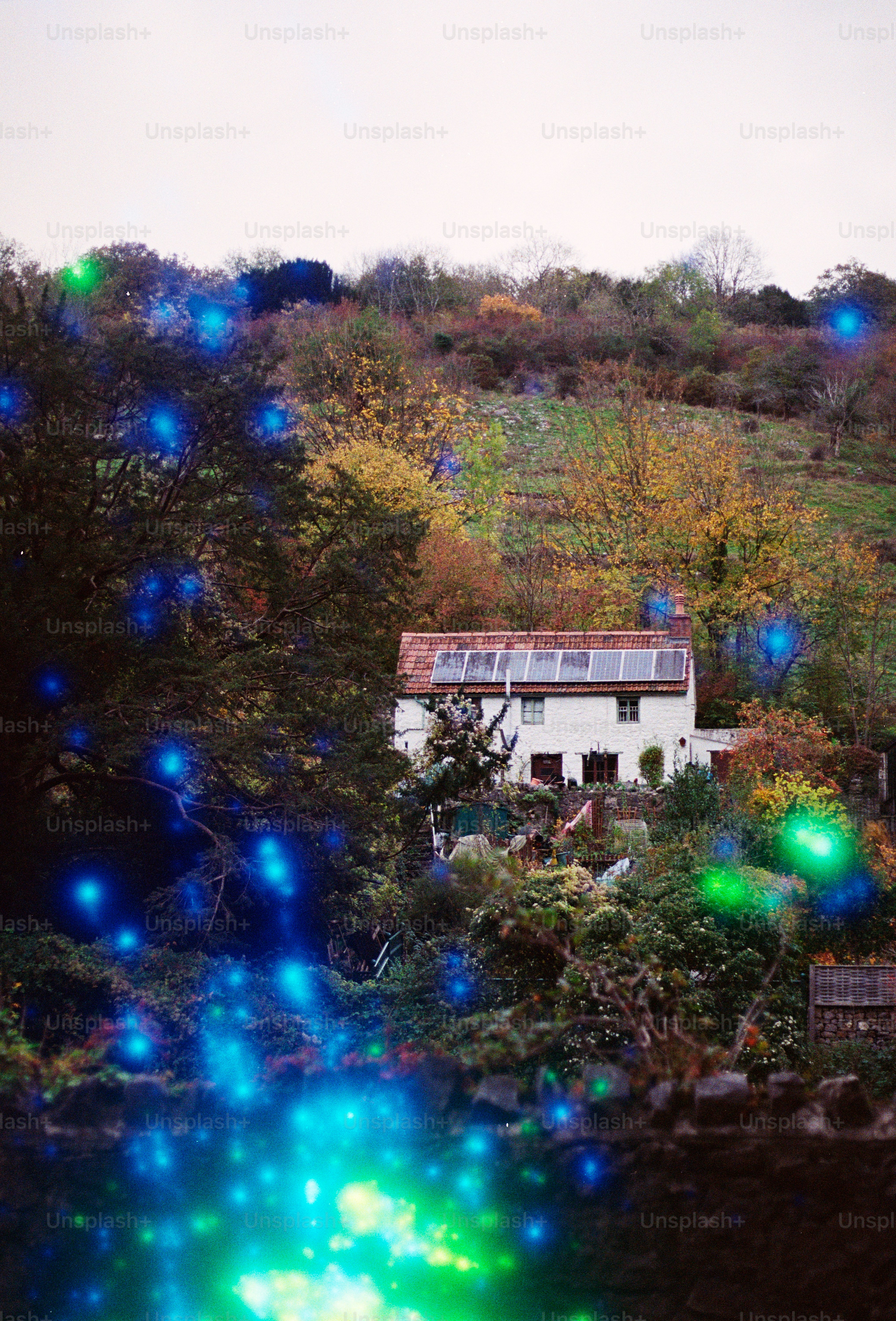 A house nestled among trees with colorful lights.