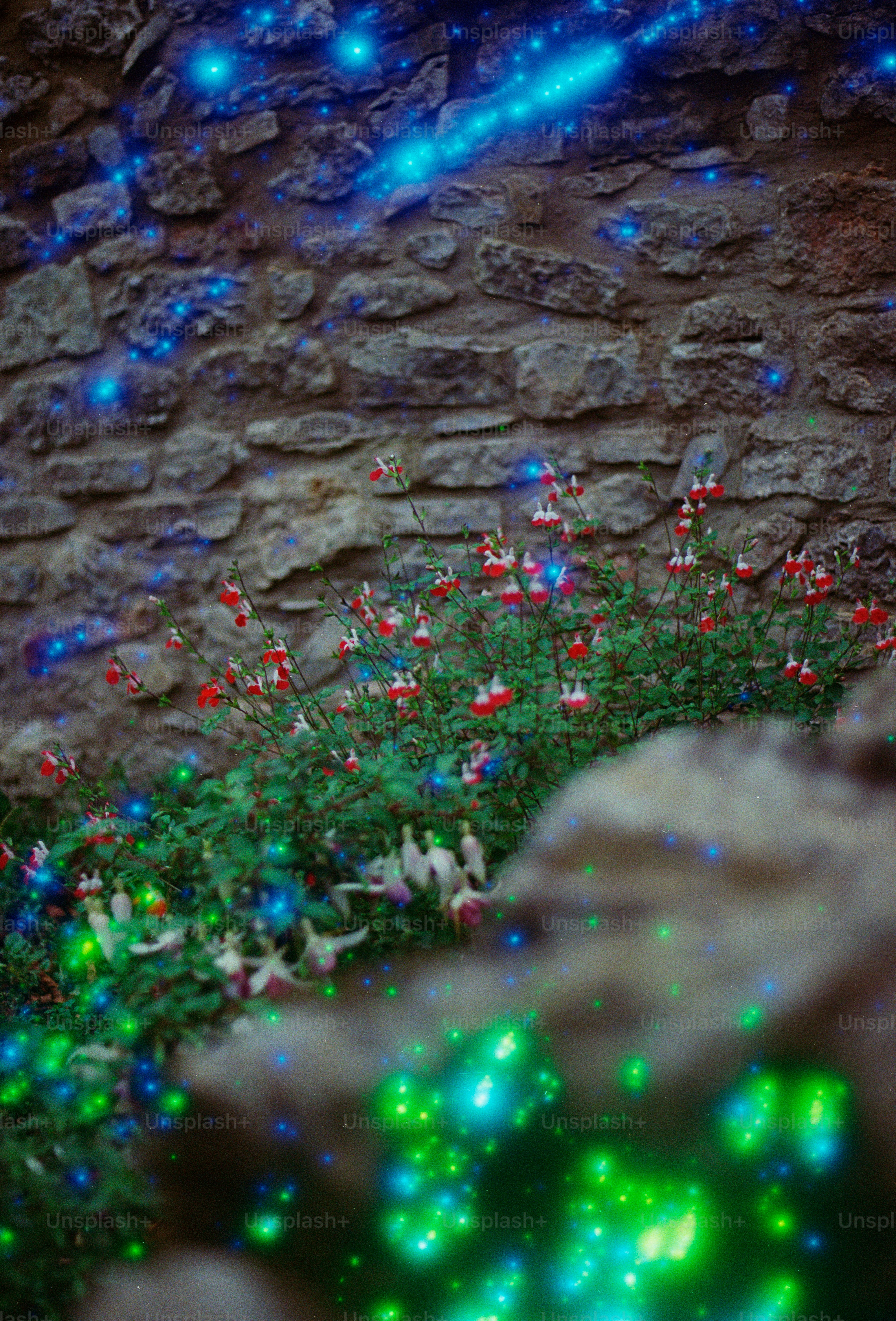 Stone wall with glowing blue and green lights and flowers.