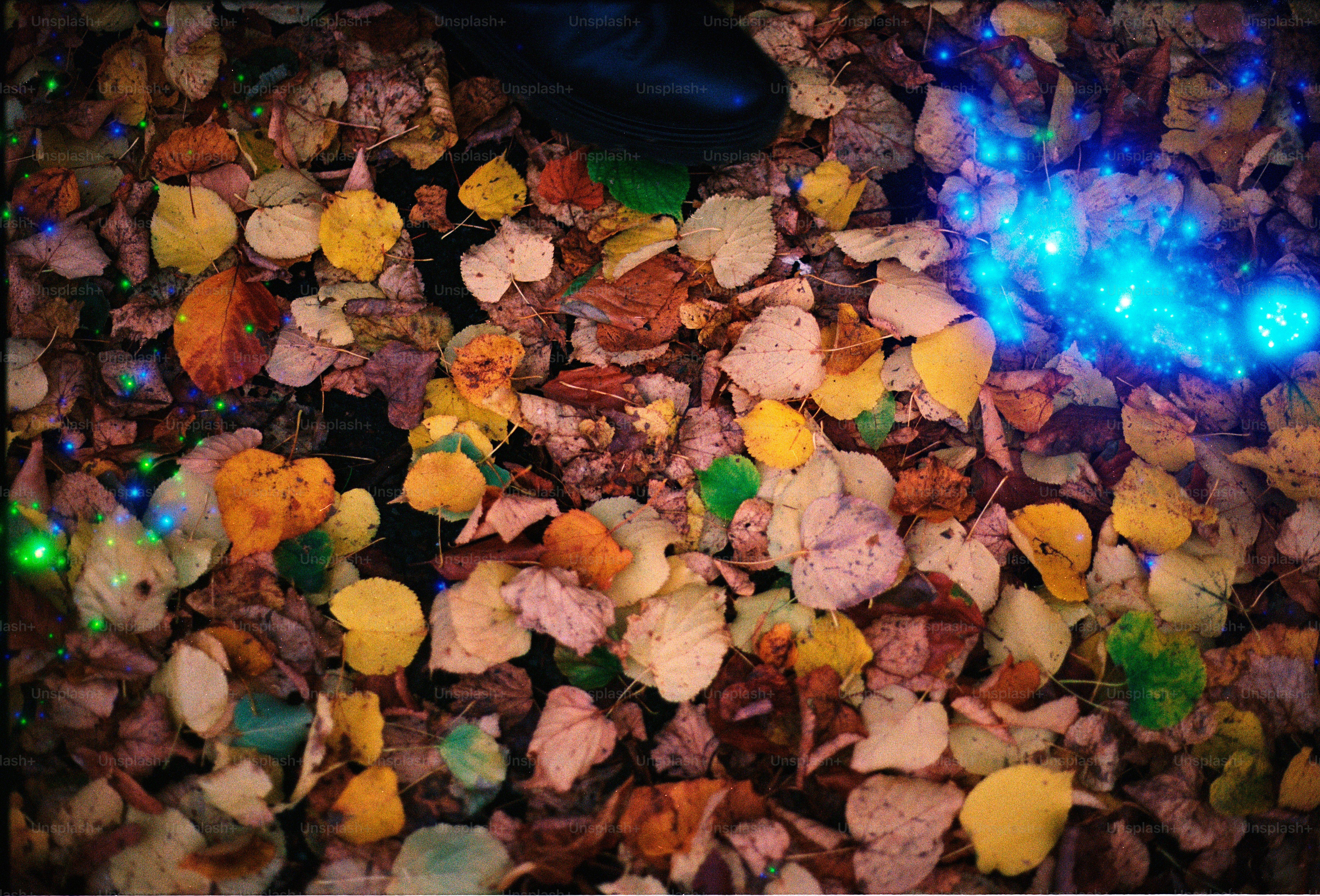 Pile of colorful autumn leaves with blue lights