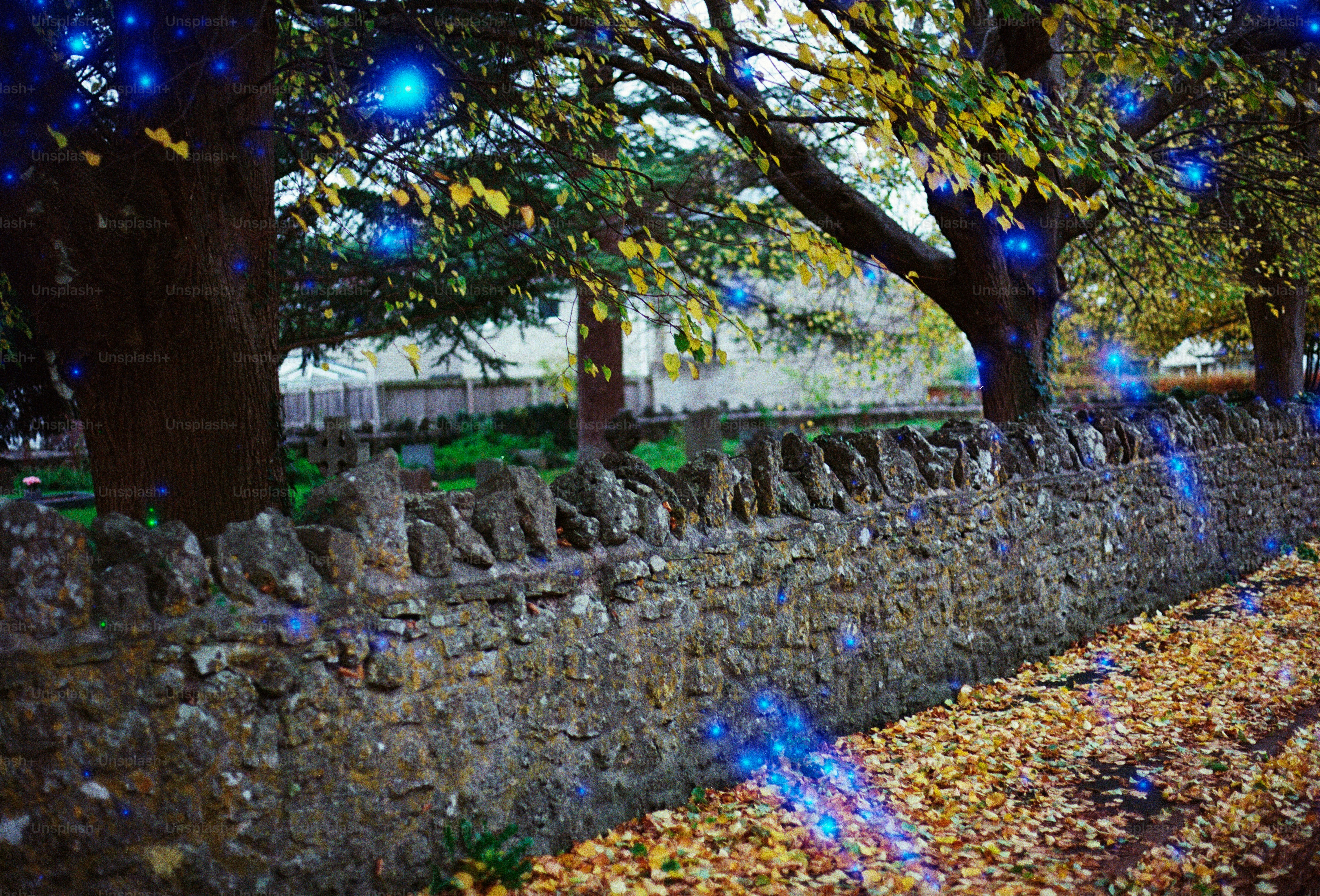 Stone wall with trees and autumn leaves