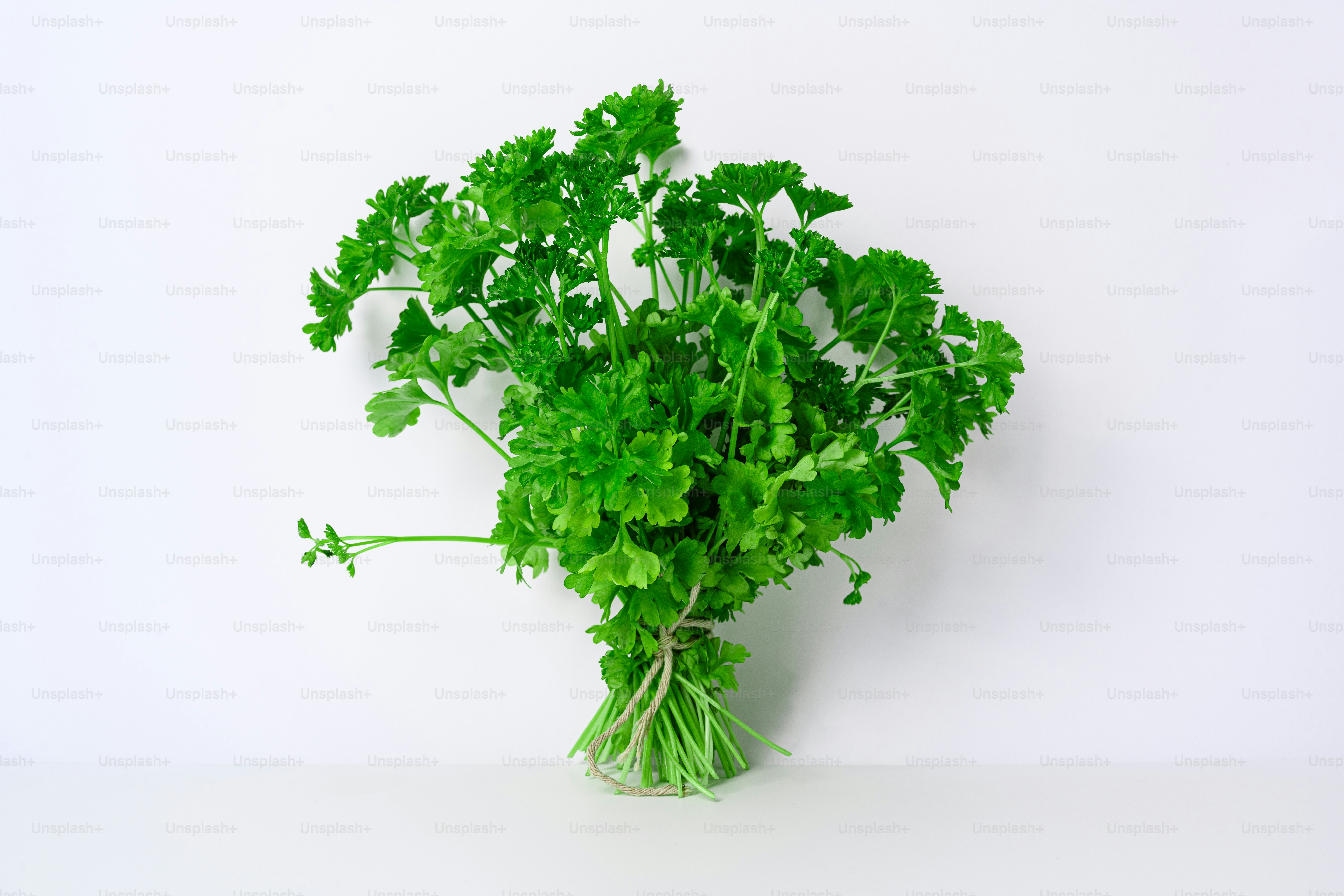 A bunch of fresh curly parsley on a white background.