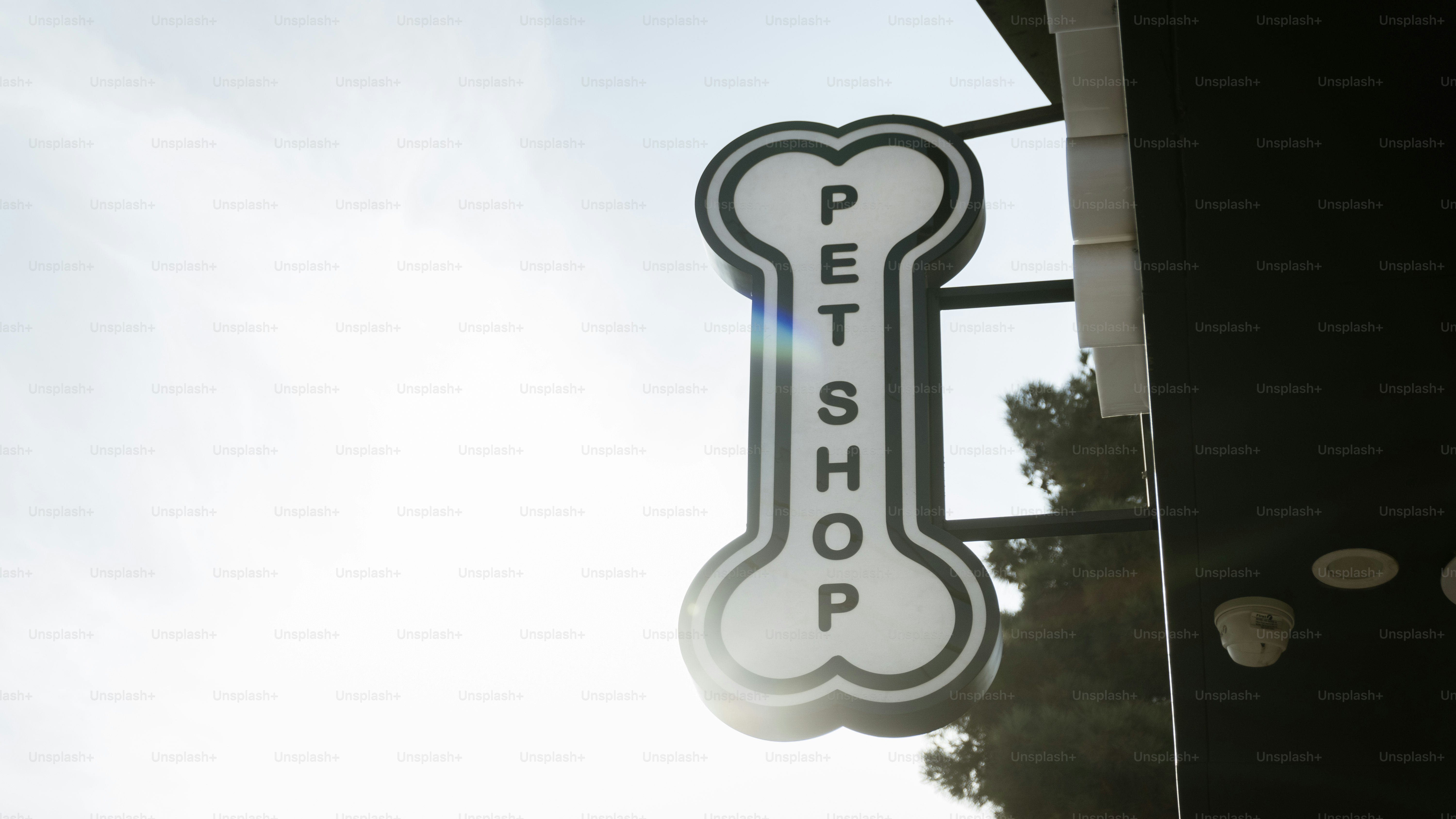 Un letrero en forma de hueso dice "tienda de mascotas"