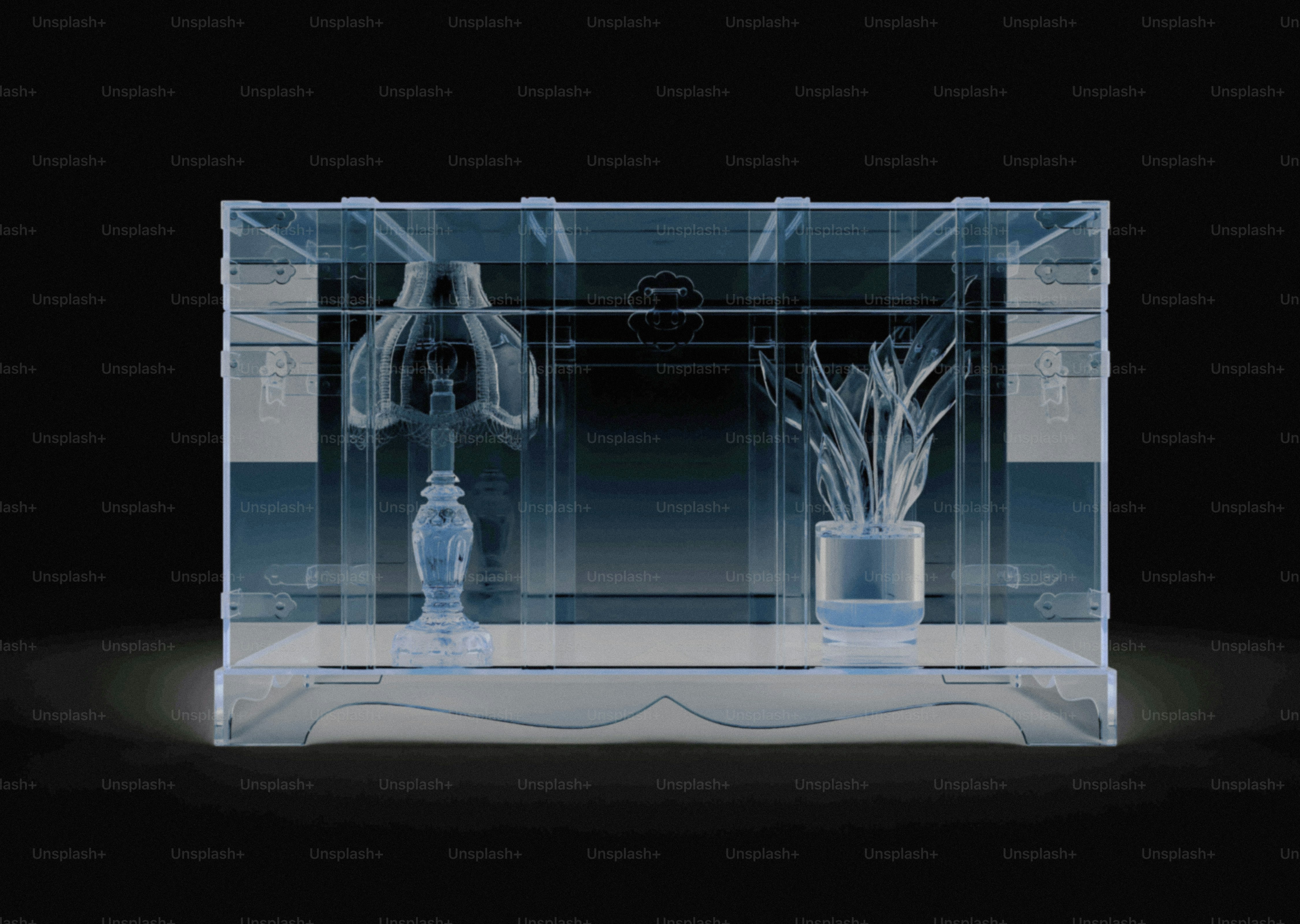 Transparent display case with lamp and plant