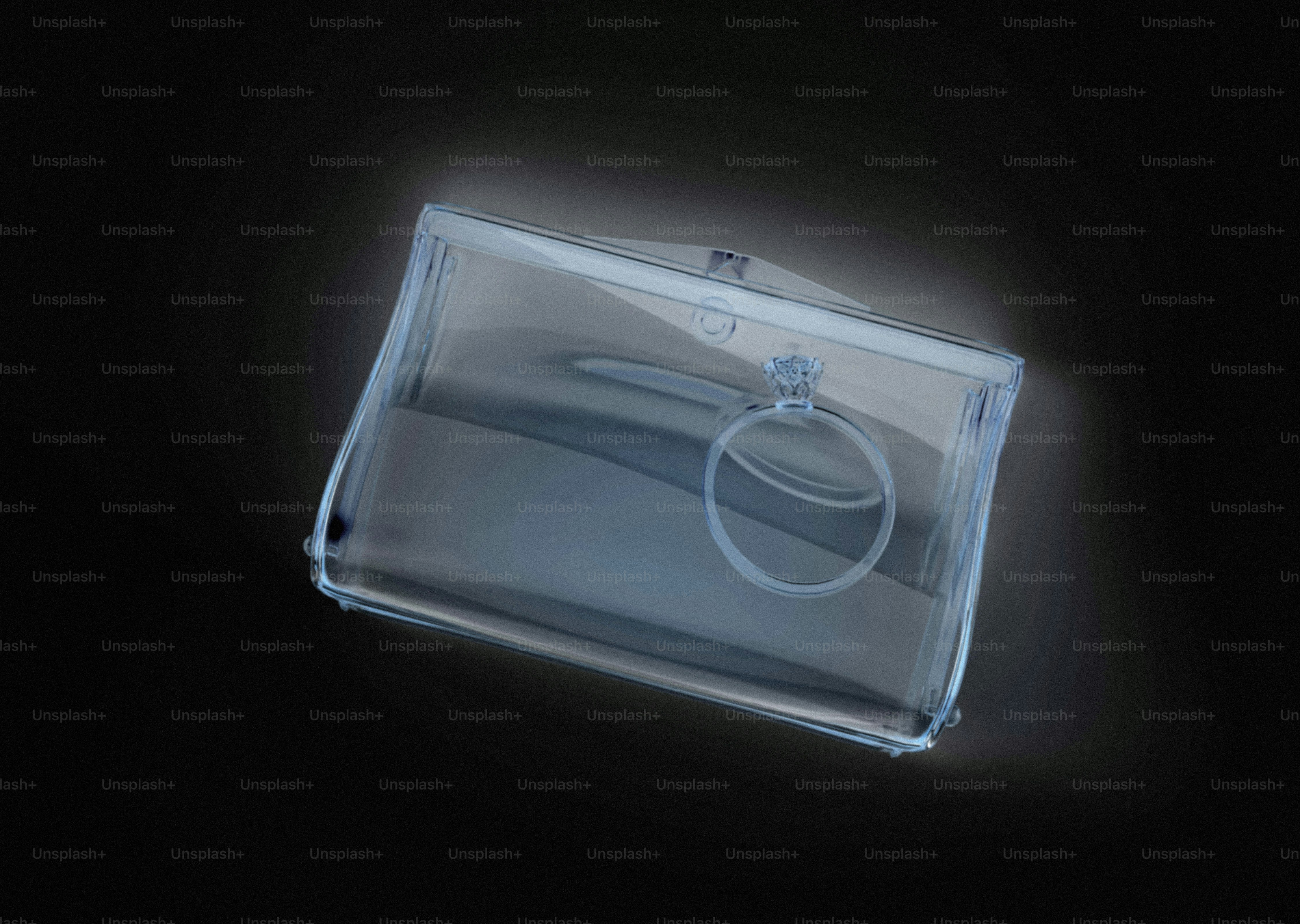 A clear plastic pouch with a ring closure