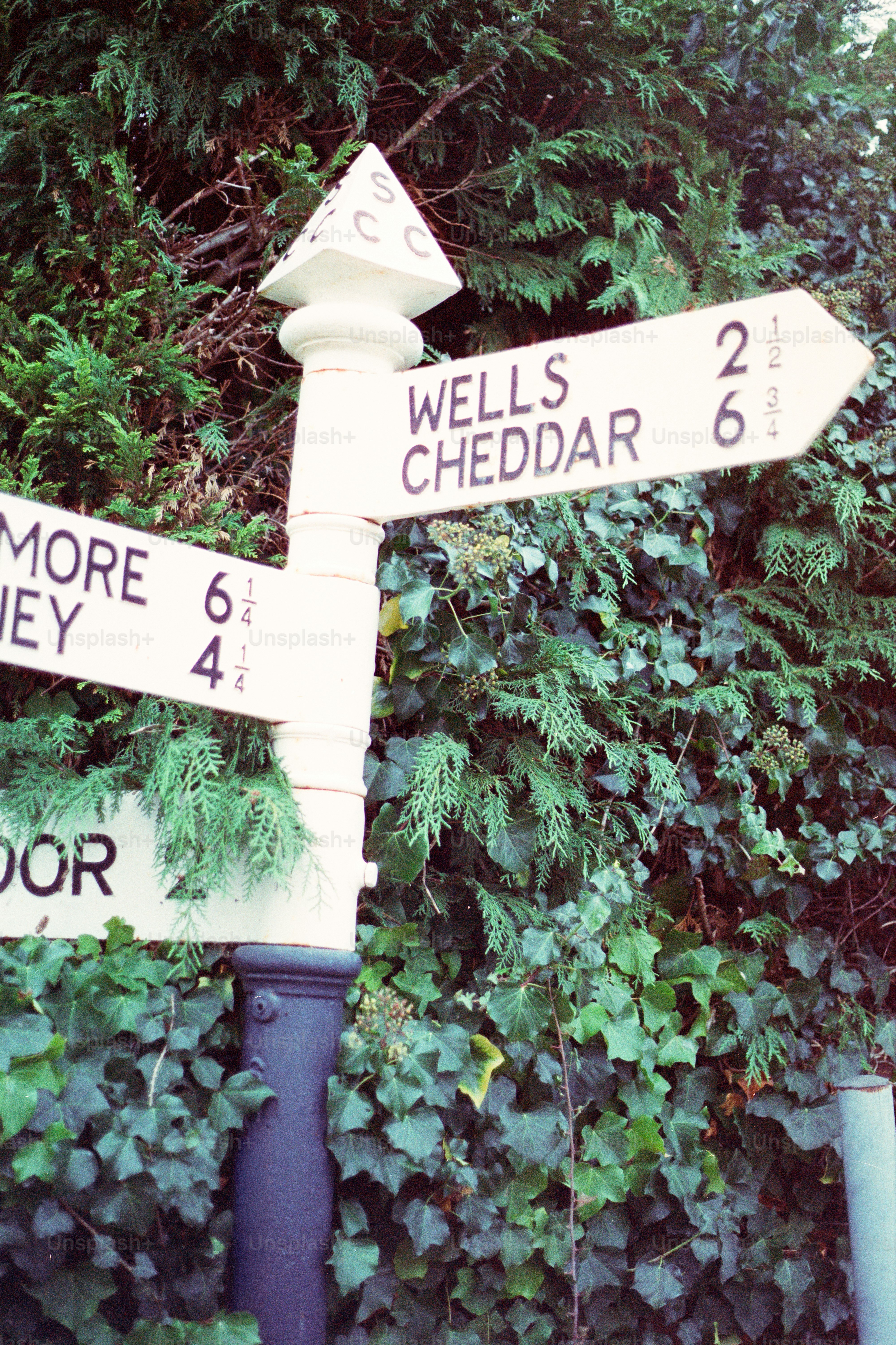 This Way Sign Pictures | Download Free Images on Unsplash