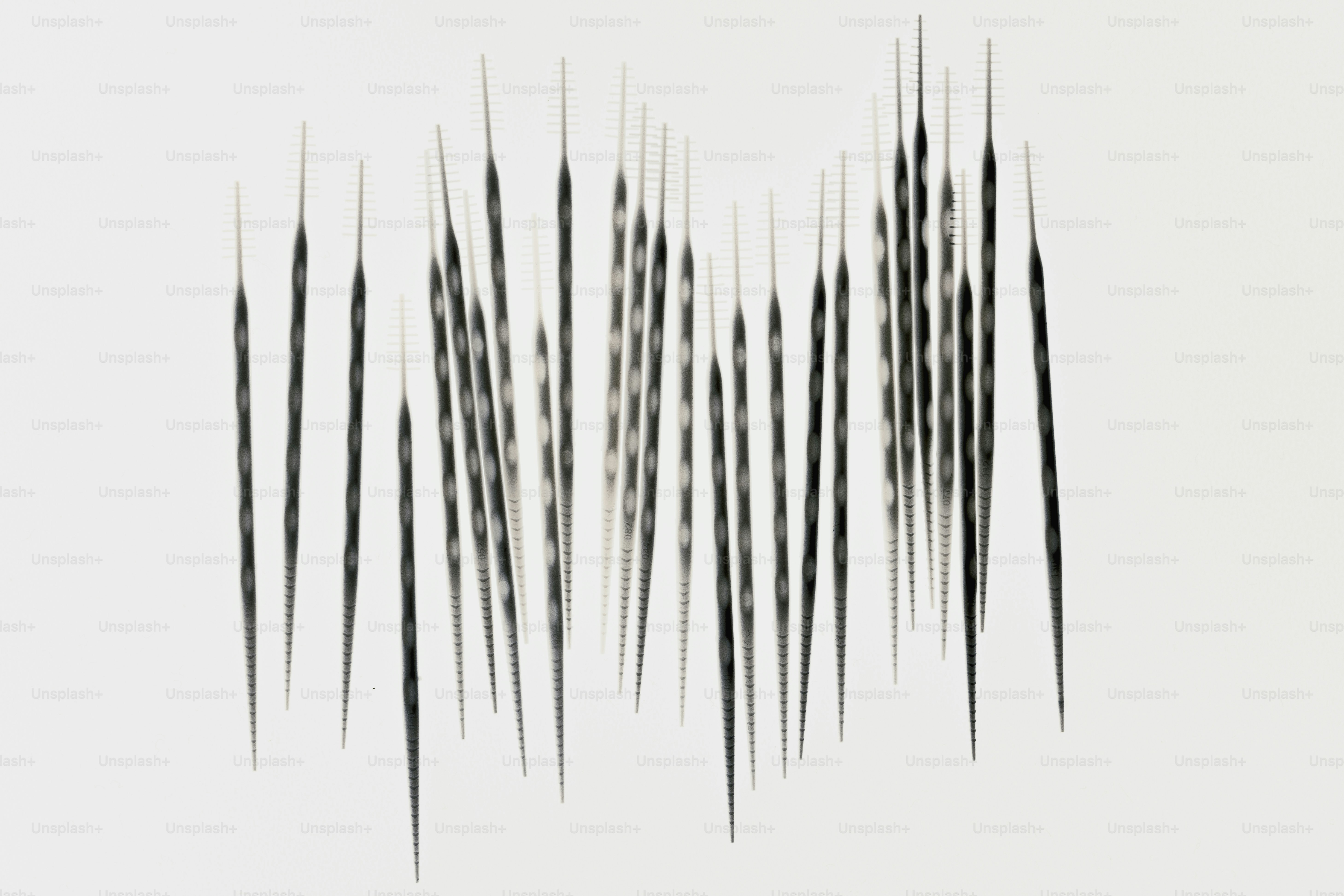 Abstract pattern of thin black lines on white