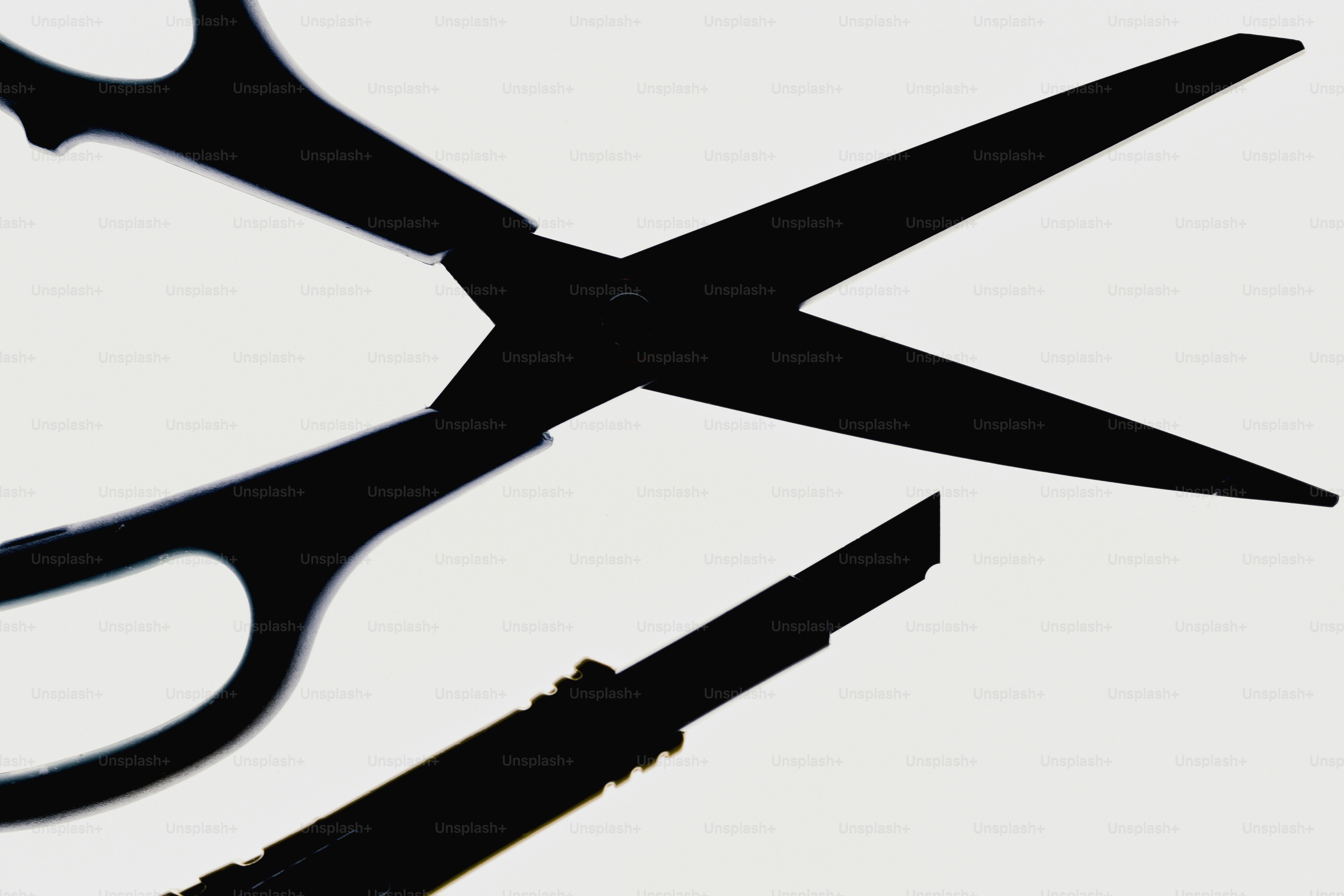 Black scissors and a blade on white background