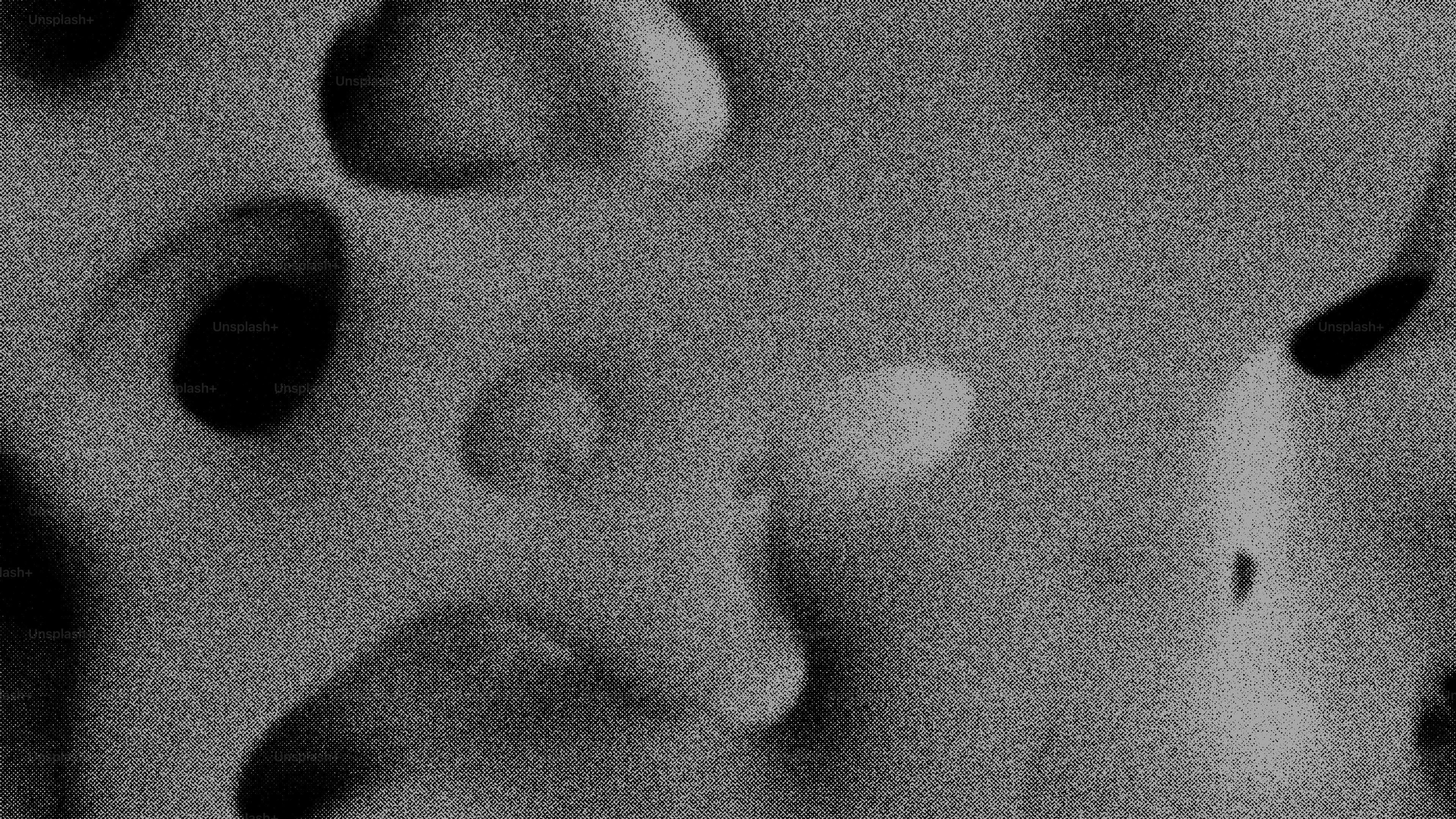 Abstract grayscale texture with organic shapes and holes photo ...