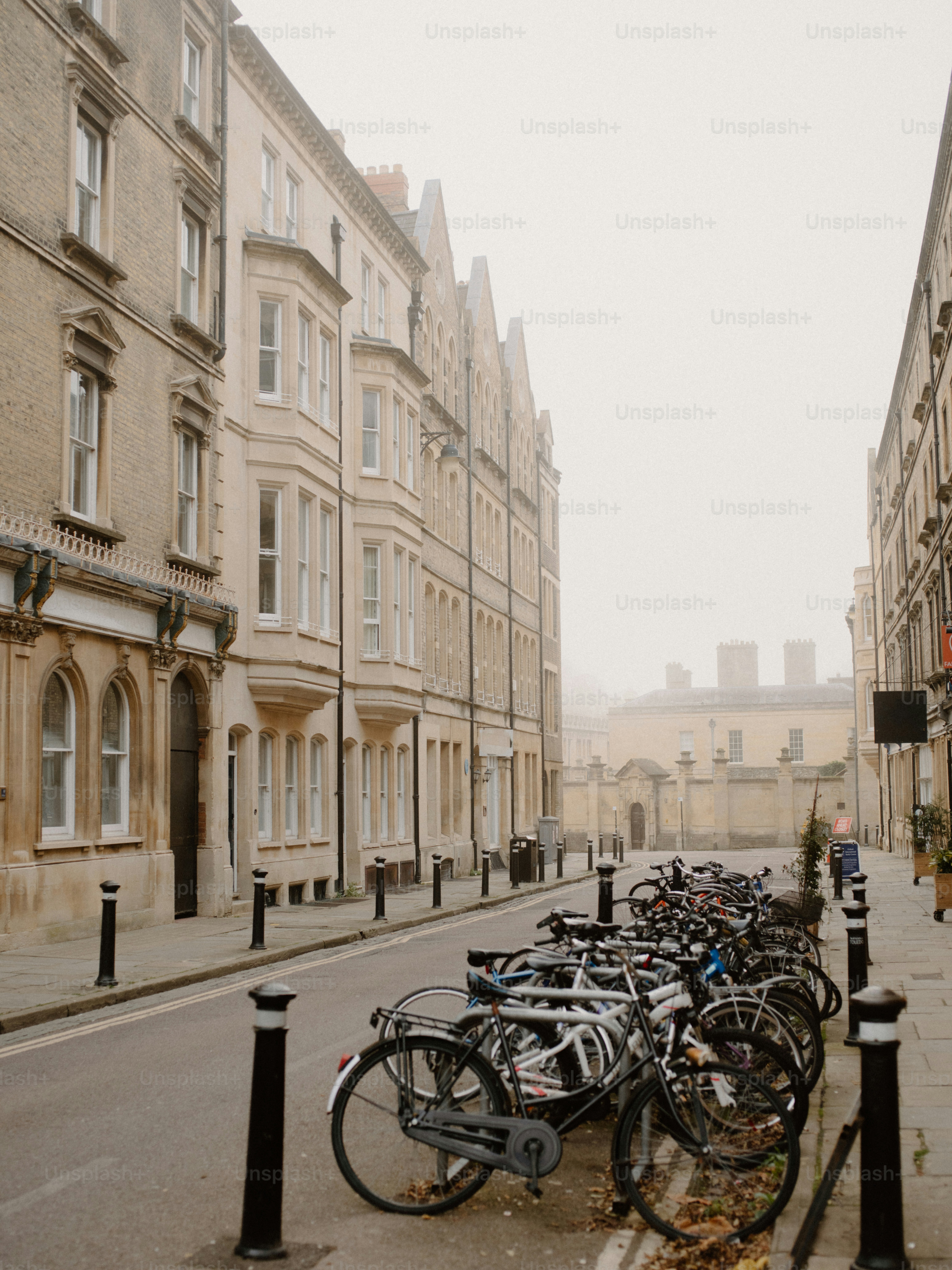 Row of bicycles parked on a foggy street