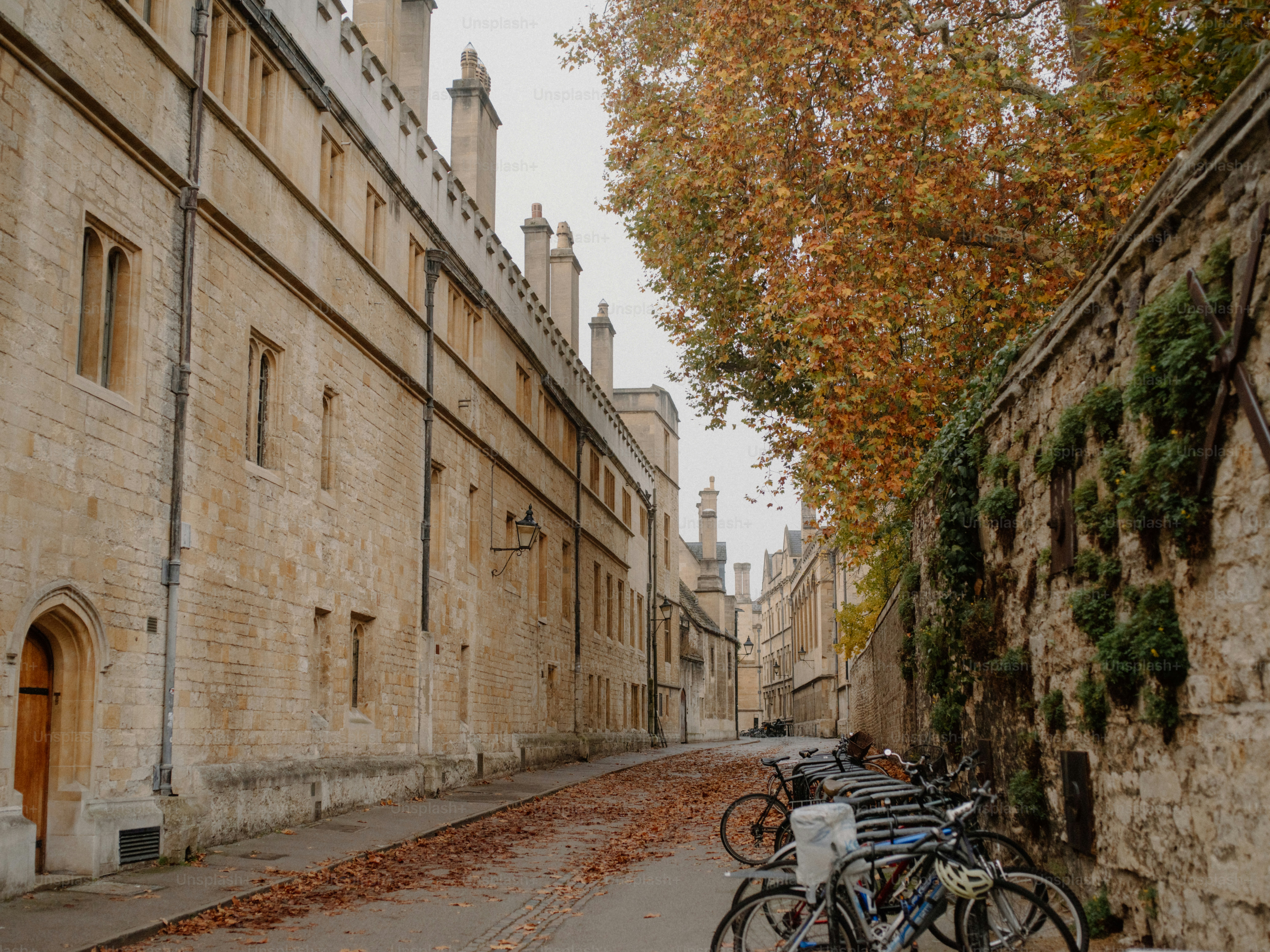 Edifícios históricos de pedra margeiam uma rua com bicicletas.