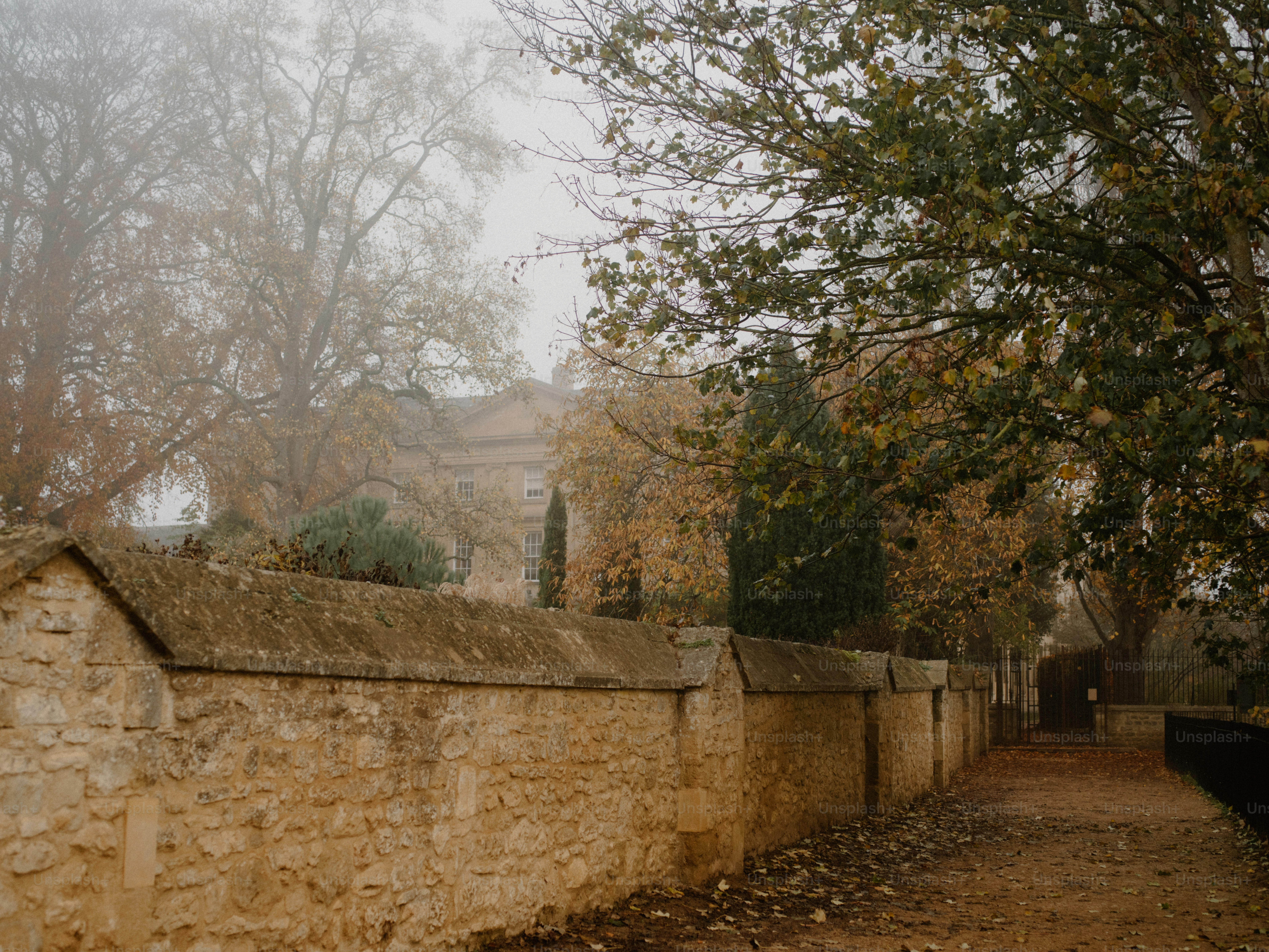 Stone wall along a path with autumn trees and fog